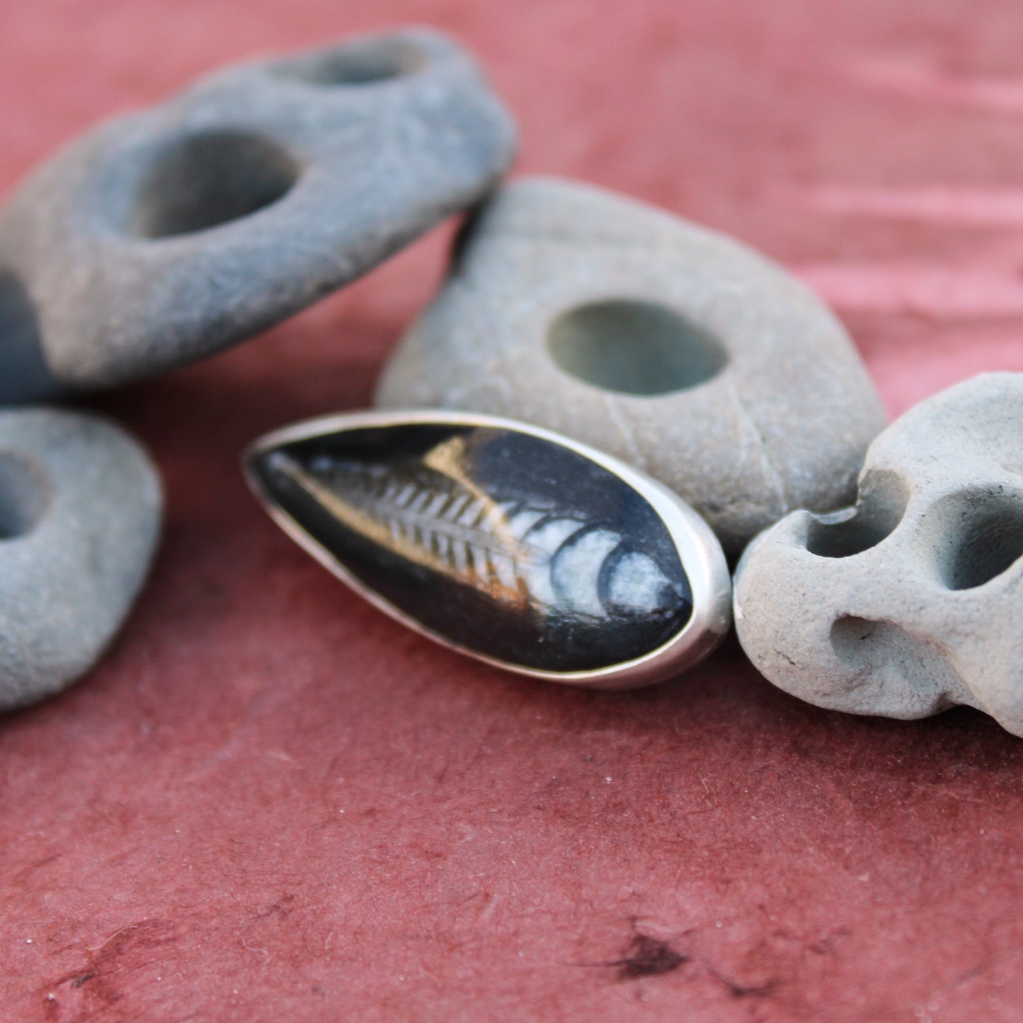 Ancient Currents Pin: Sterling Silver & Orthoceros