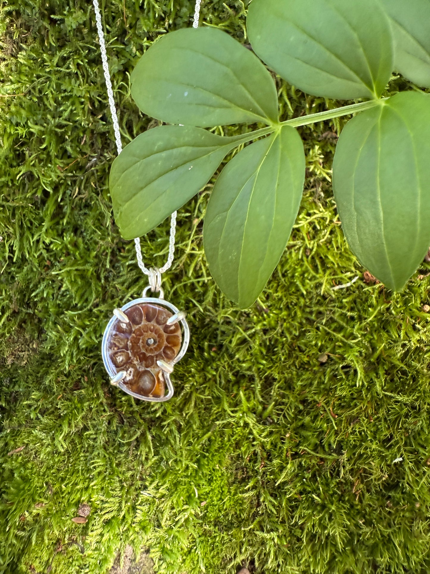 Eternal Spiral: Sterling Silver & Ammonite Pendant