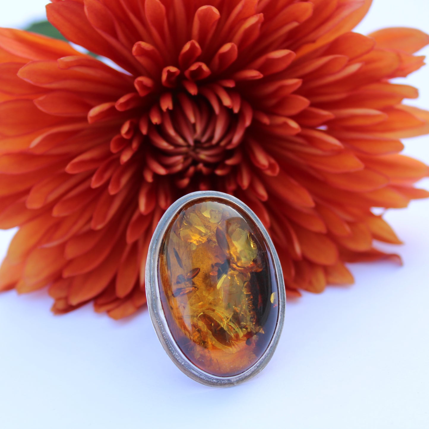 Golden Ember Ring: Sterling Silver & Baltic Amber - size 9