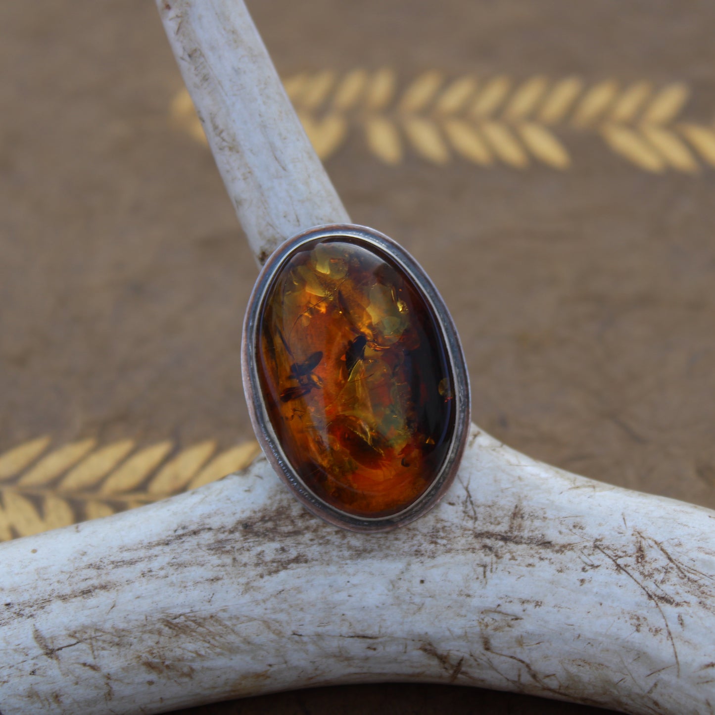 Golden Ember Ring: Sterling Silver & Baltic Amber - size 9