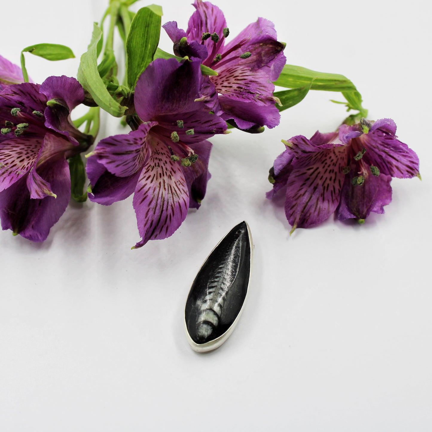 Ancient Currents Pin: Sterling Silver & Orthoceros