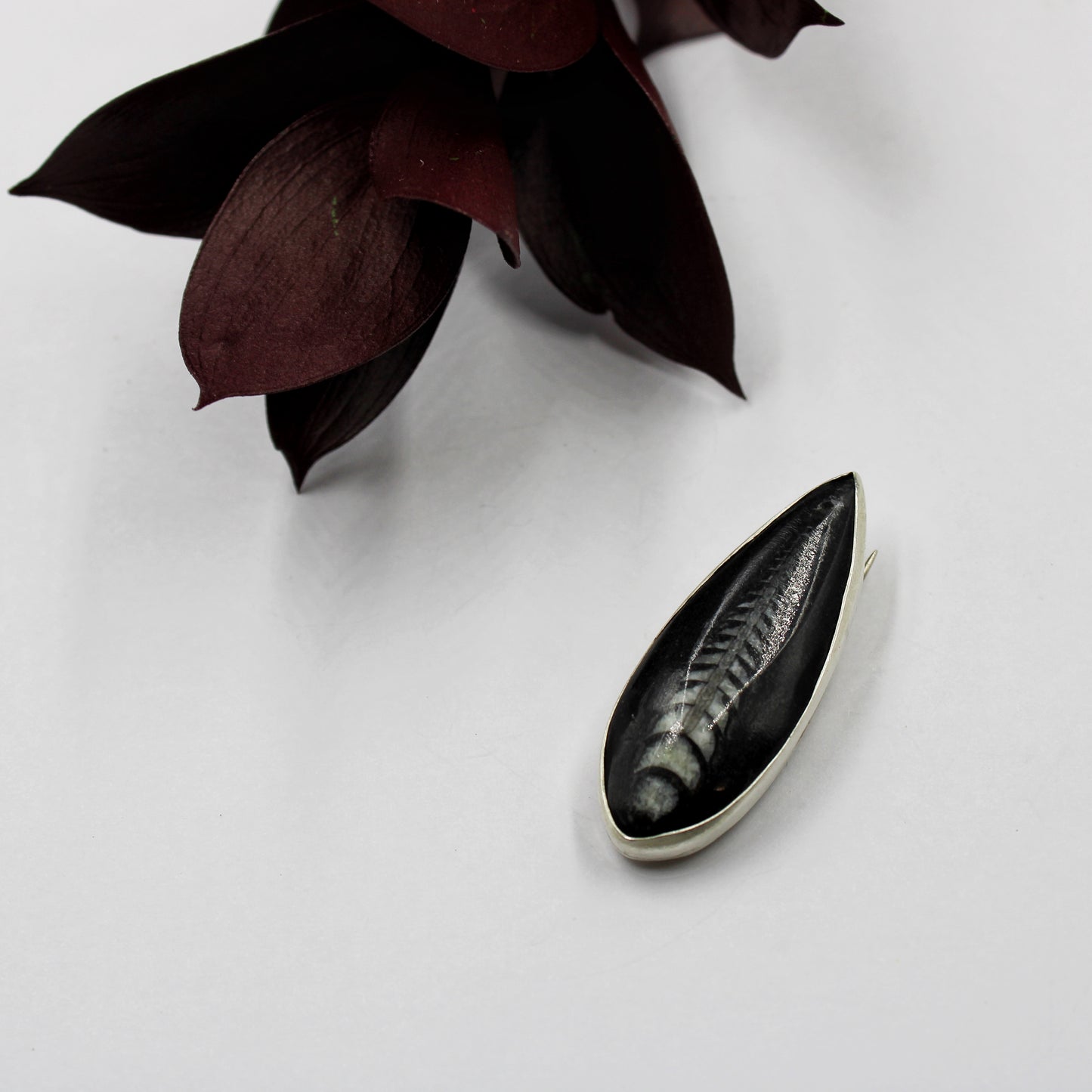 Ancient Currents Pin: Sterling Silver & Orthoceros