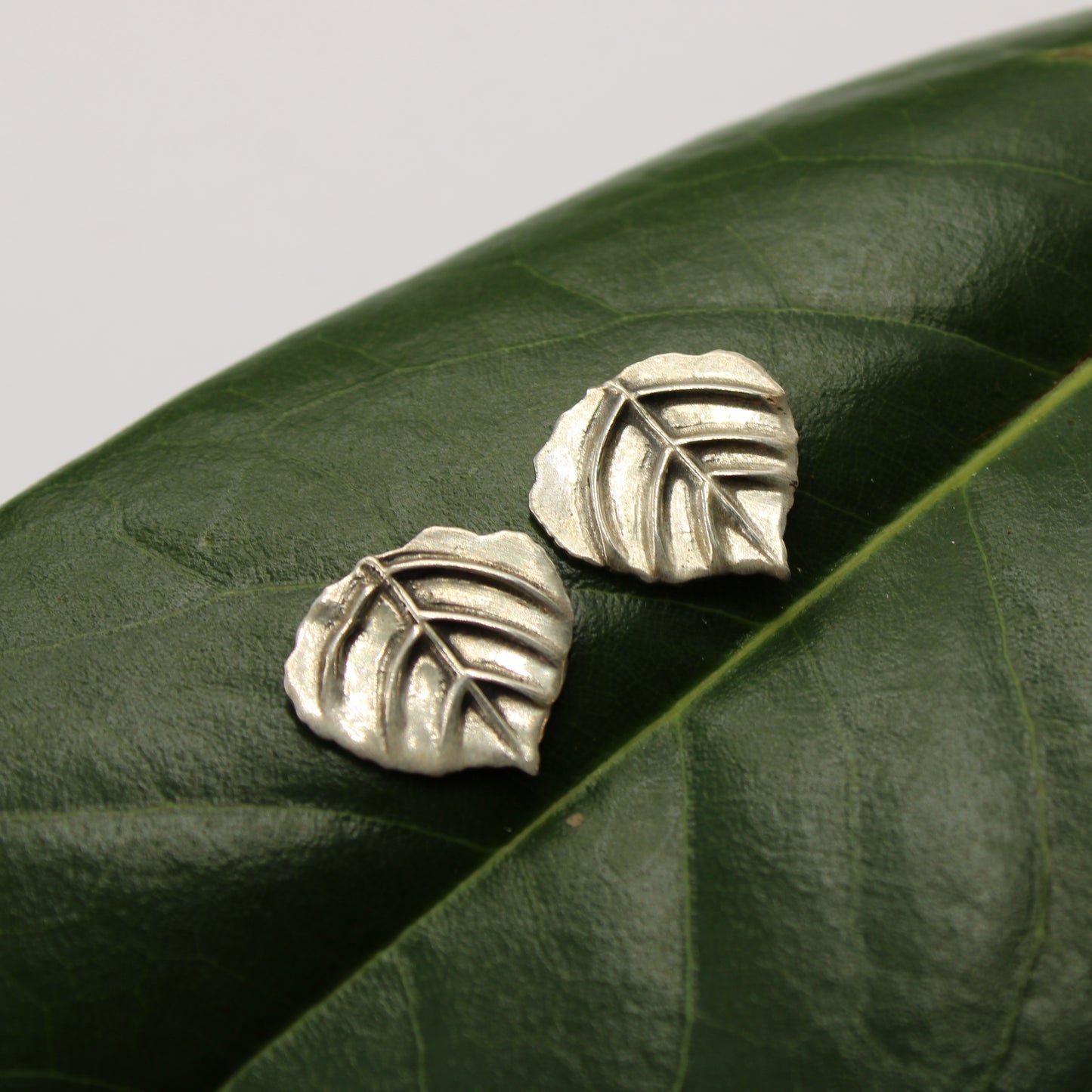 Aspen Breeze Post Earrings: Sterling Silver Aspen Leaves