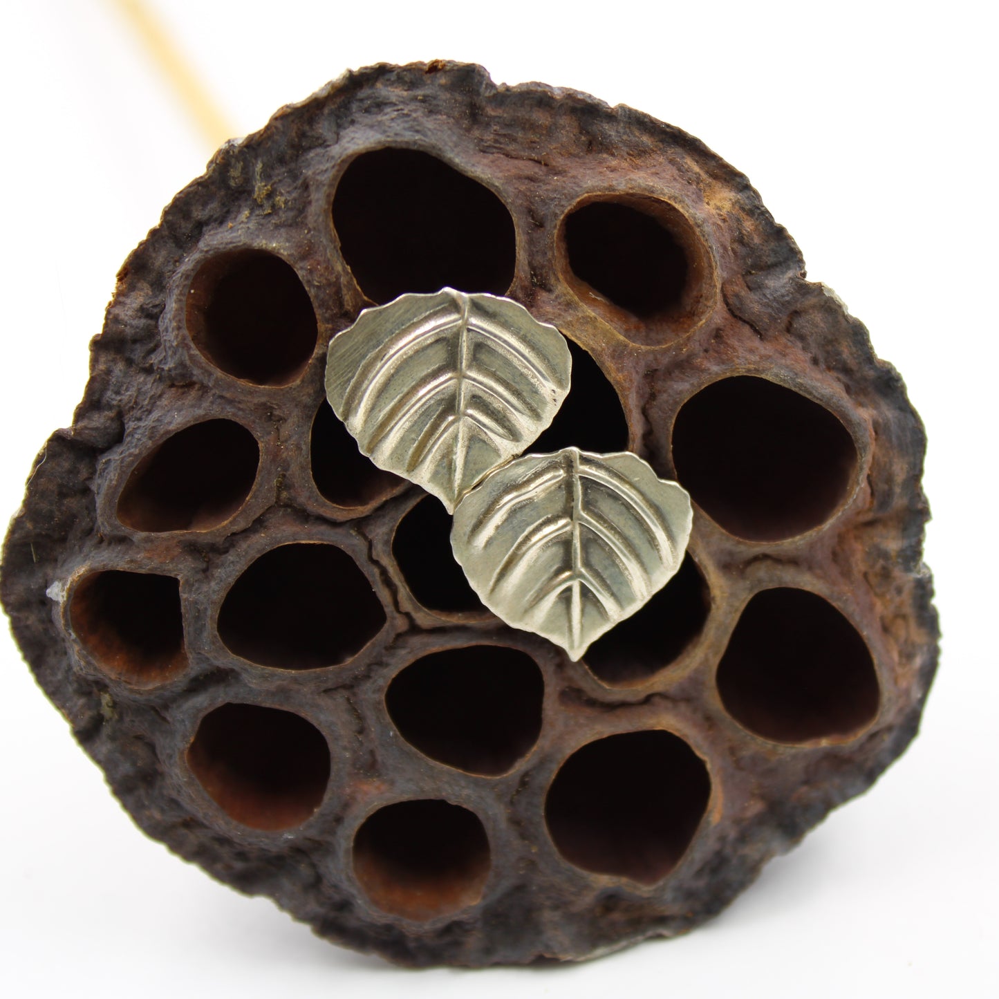 Aspen Breeze Post Earrings: Sterling Silver Aspen Leaves