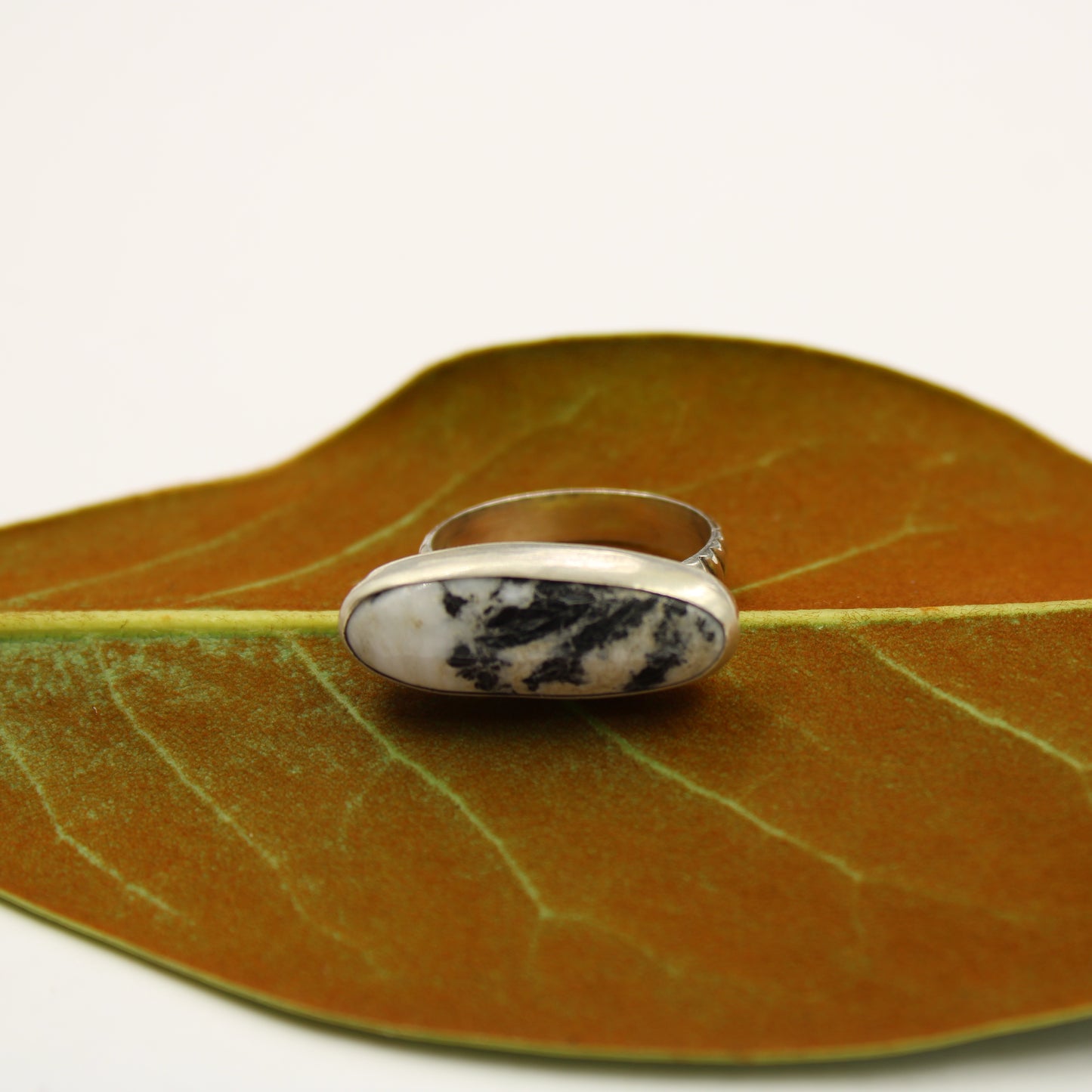 Snowdrift Ring: Sterling Silver & White Buffalo Turquoise - size 7.5