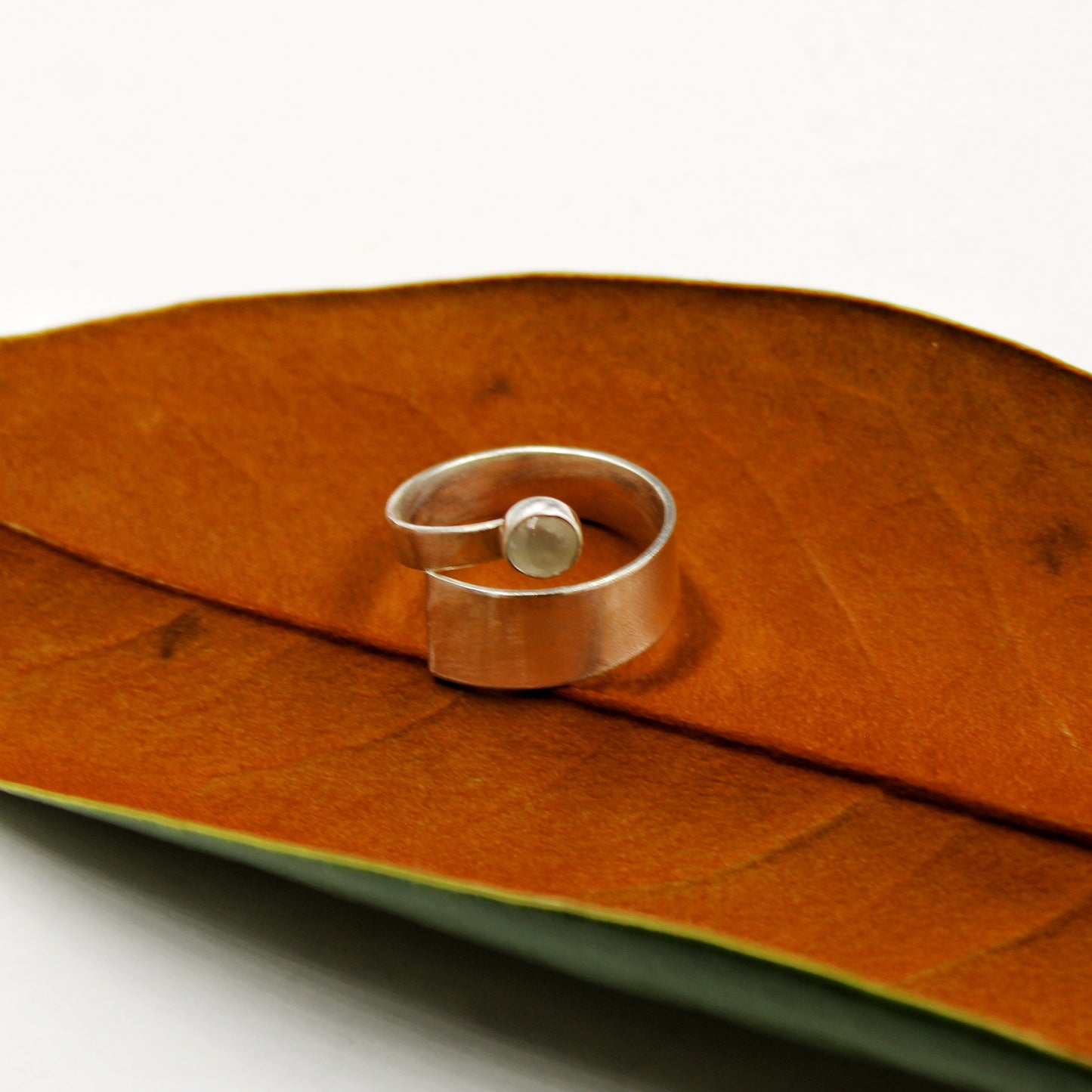 The Sylvan Connection Rings: Sterling Silver Overlap