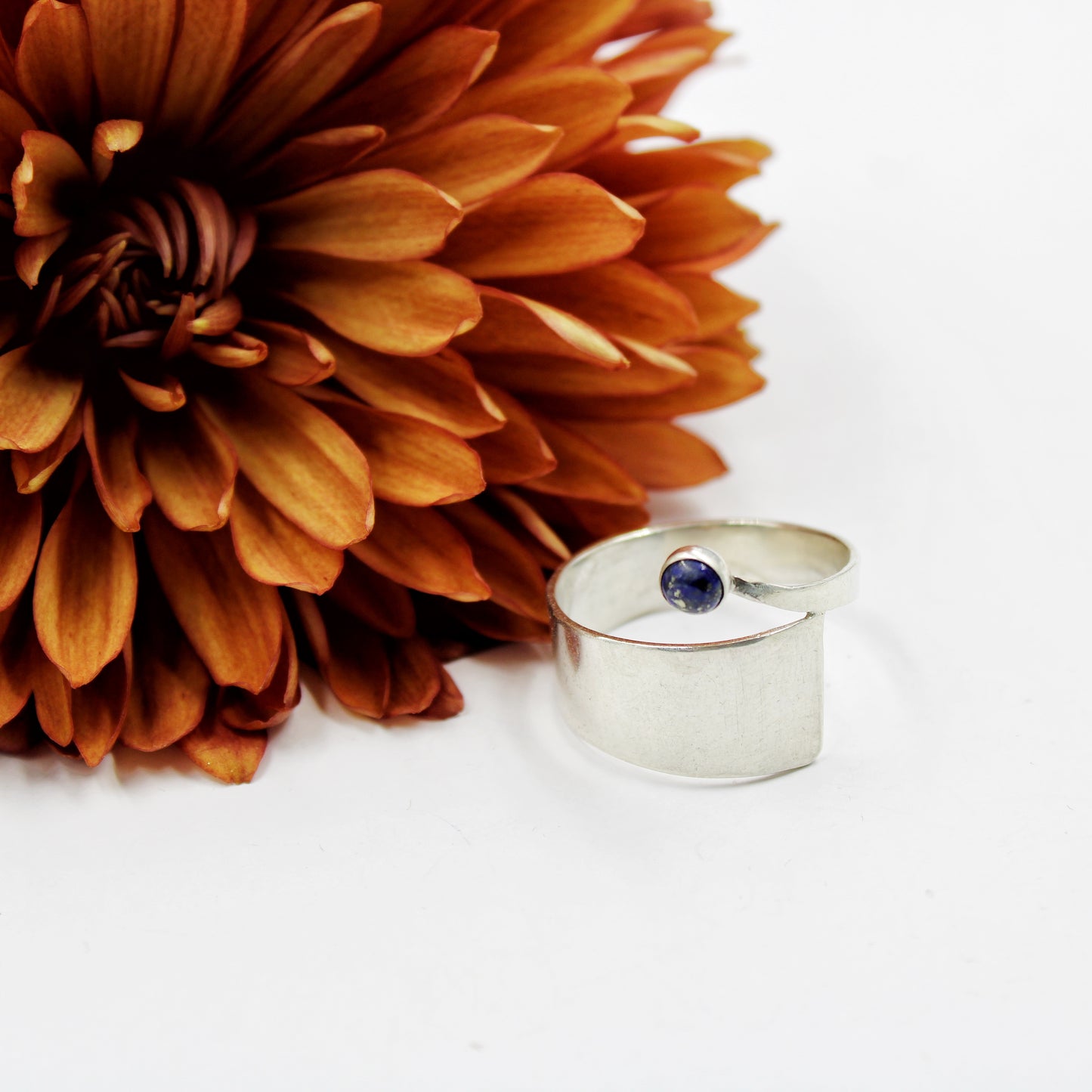 The Sylvan Connection Rings: Sterling Silver Overlap