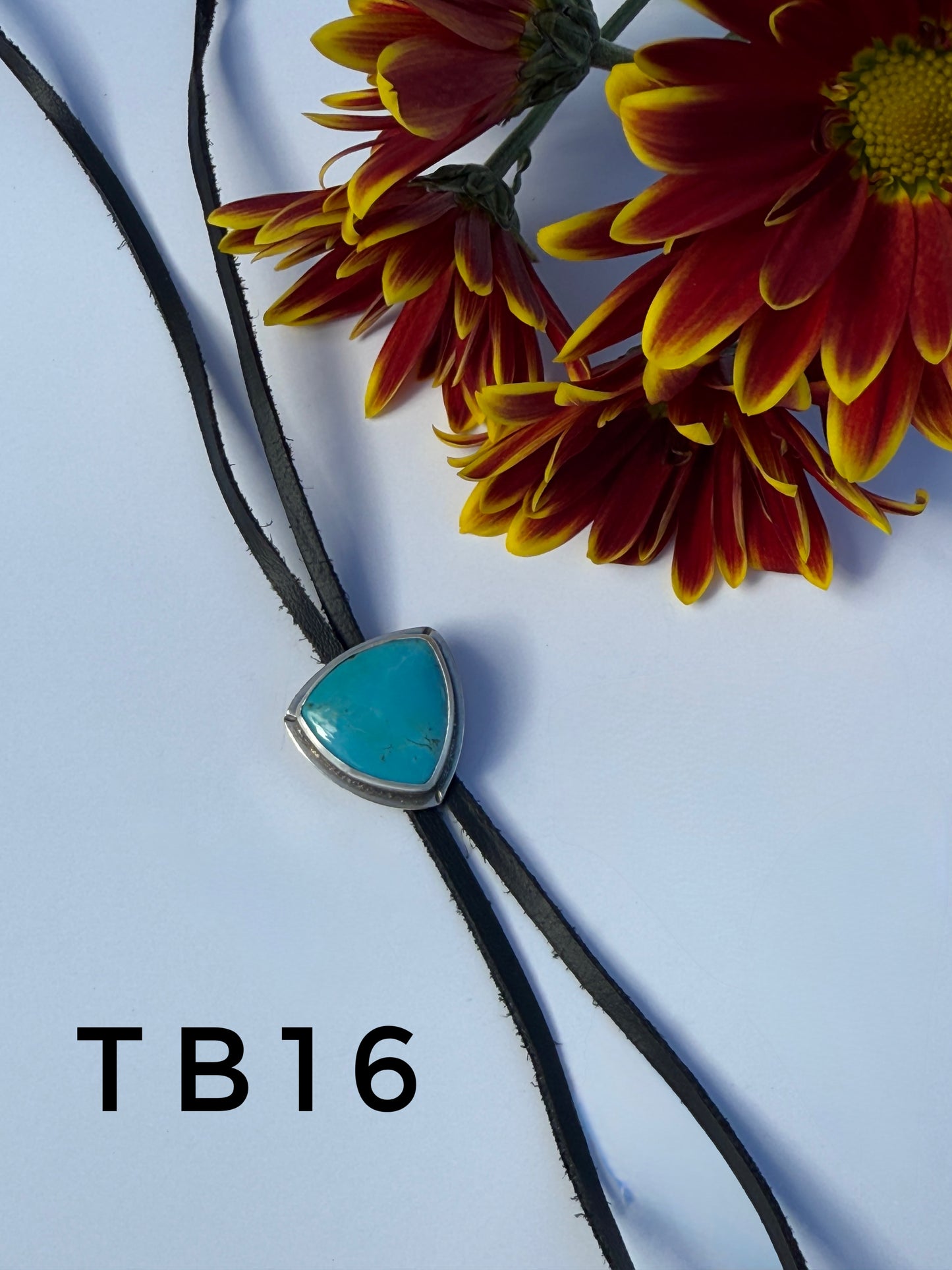 Trail Blazer Bolos