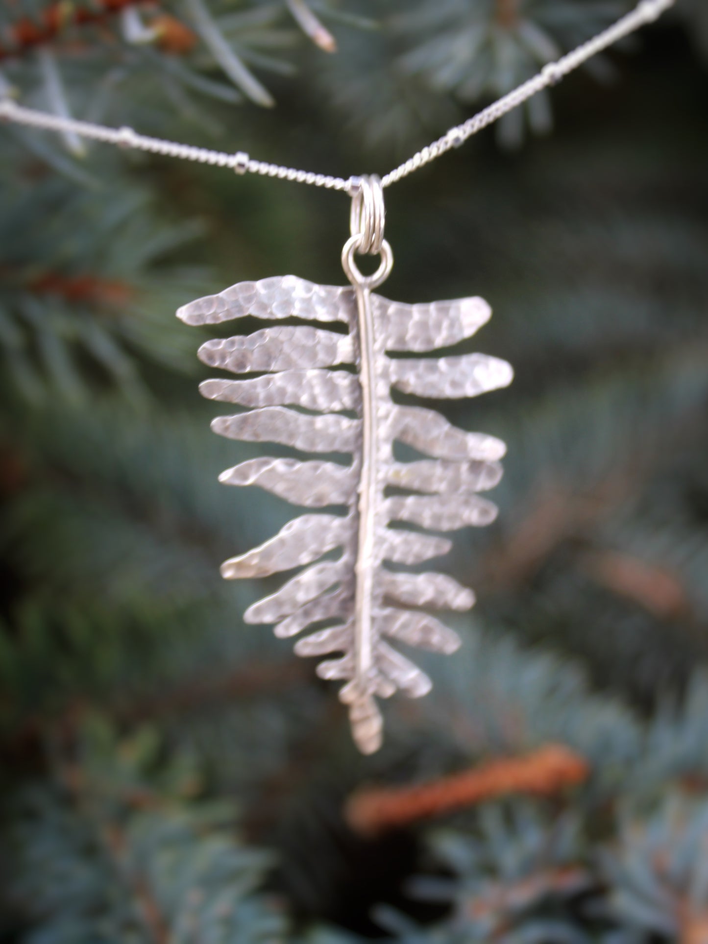 Evergreen Grace Pendant: Sterling Silver Sword Fern