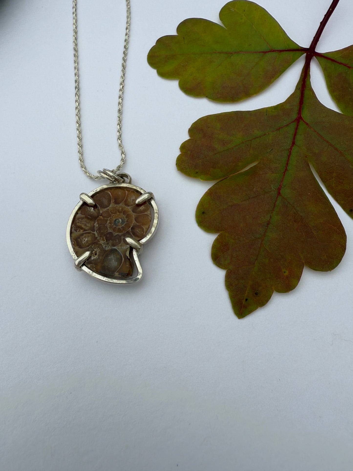 Eternal Spiral: Sterling Silver & Ammonite Pendant