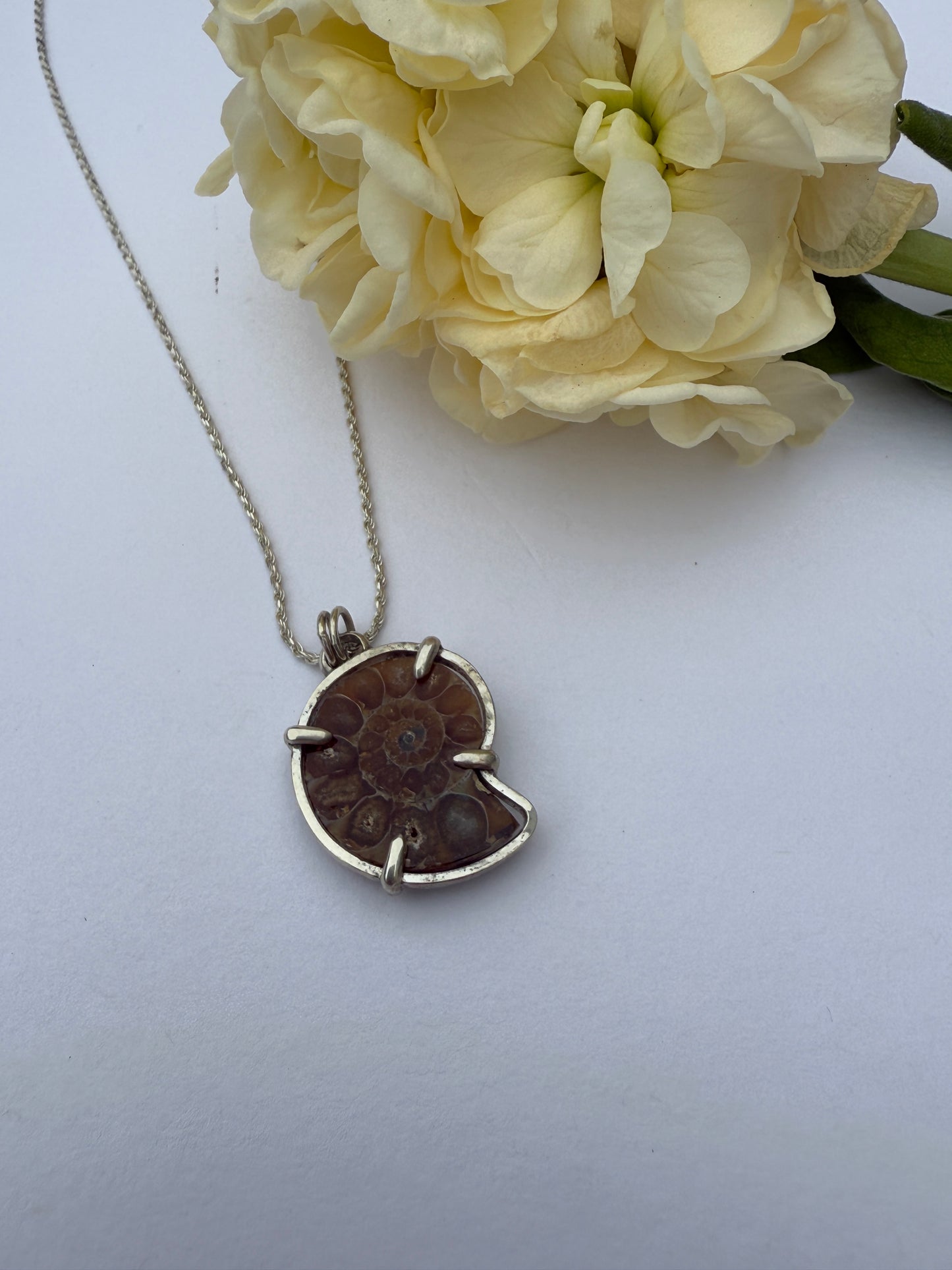Eternal Spiral: Sterling Silver & Ammonite Pendant