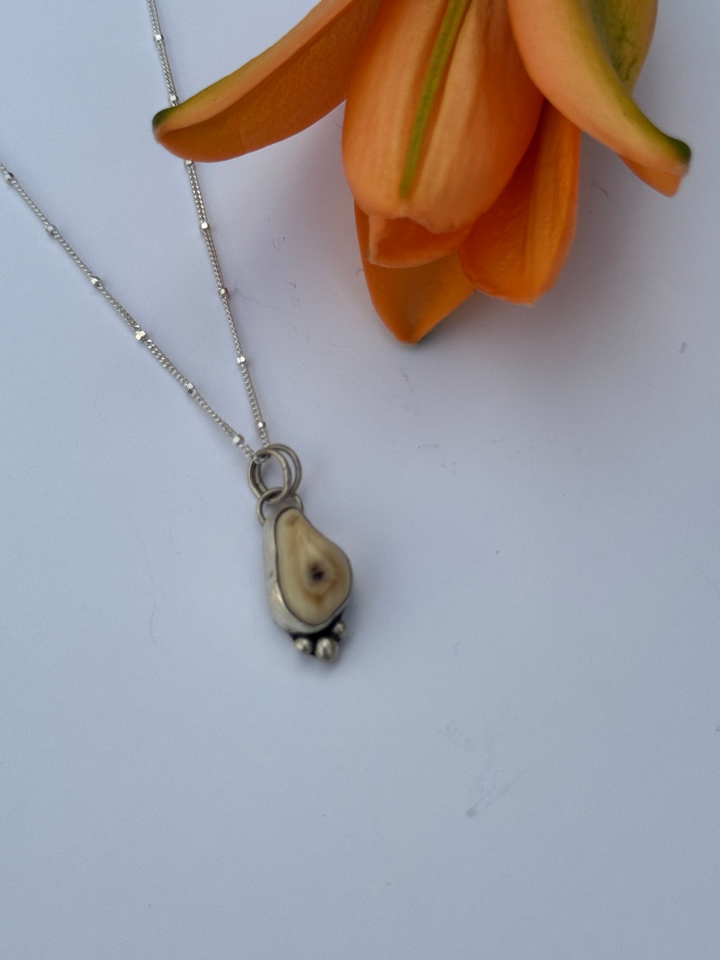 Wild Spirit Ivory Necklace: Sterling Silver & Elk Ivory Pendant