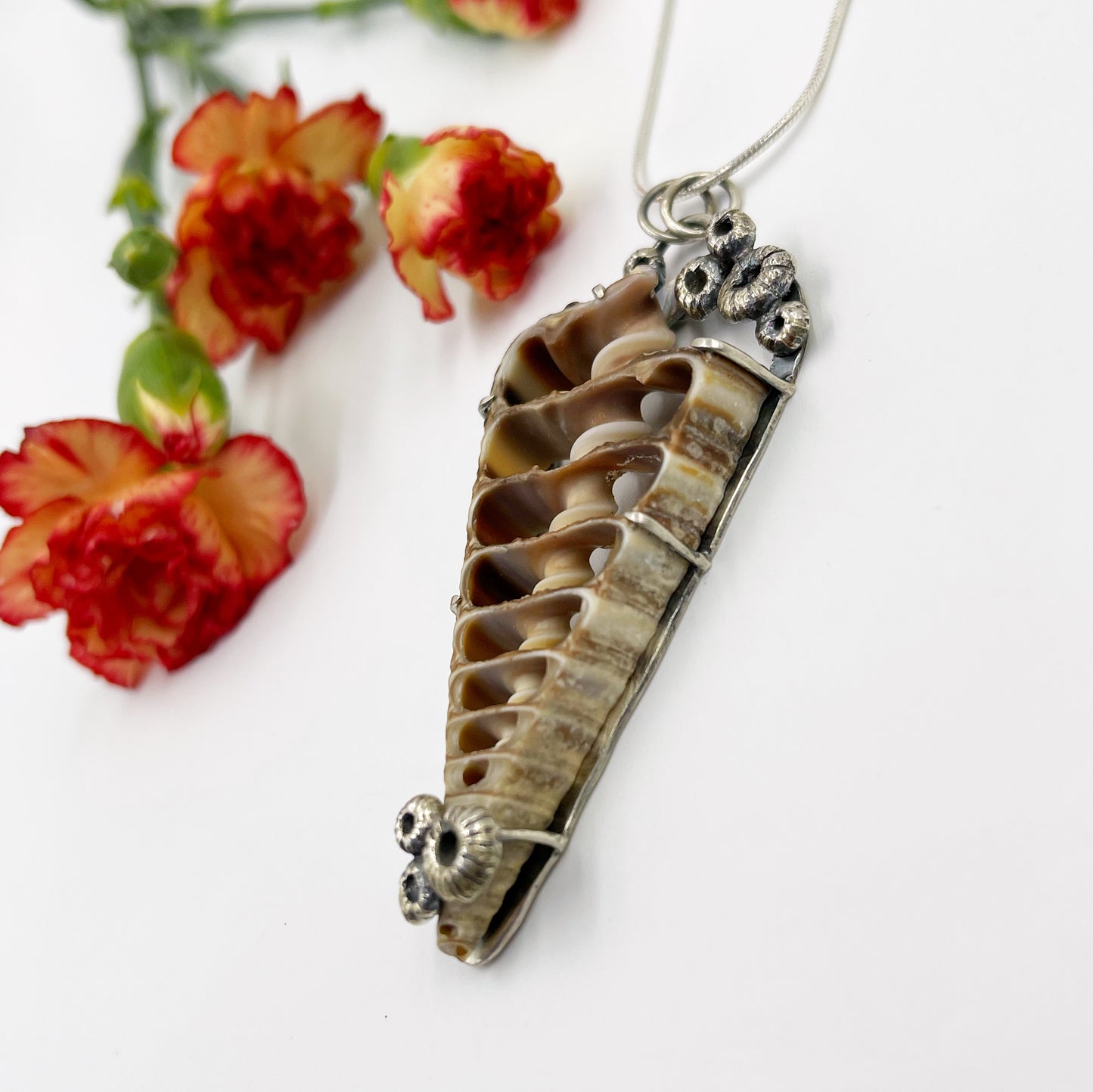 Tidekeeper Necklace: Sterling Silver & Spiral Shell Prong set with Barnacles