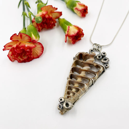 Tidekeeper Necklace: Sterling Silver & Spiral Shell Prong set with Barnacles