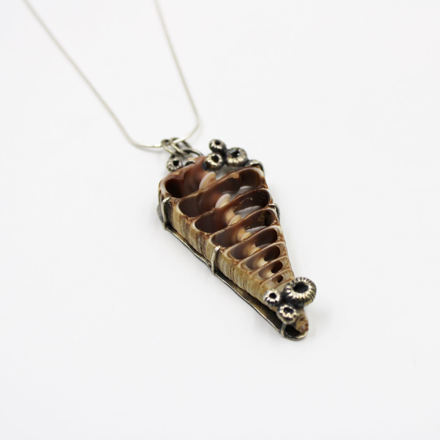 Tidekeeper Necklace: Sterling Silver & Spiral Shell Prong set with Barnacles