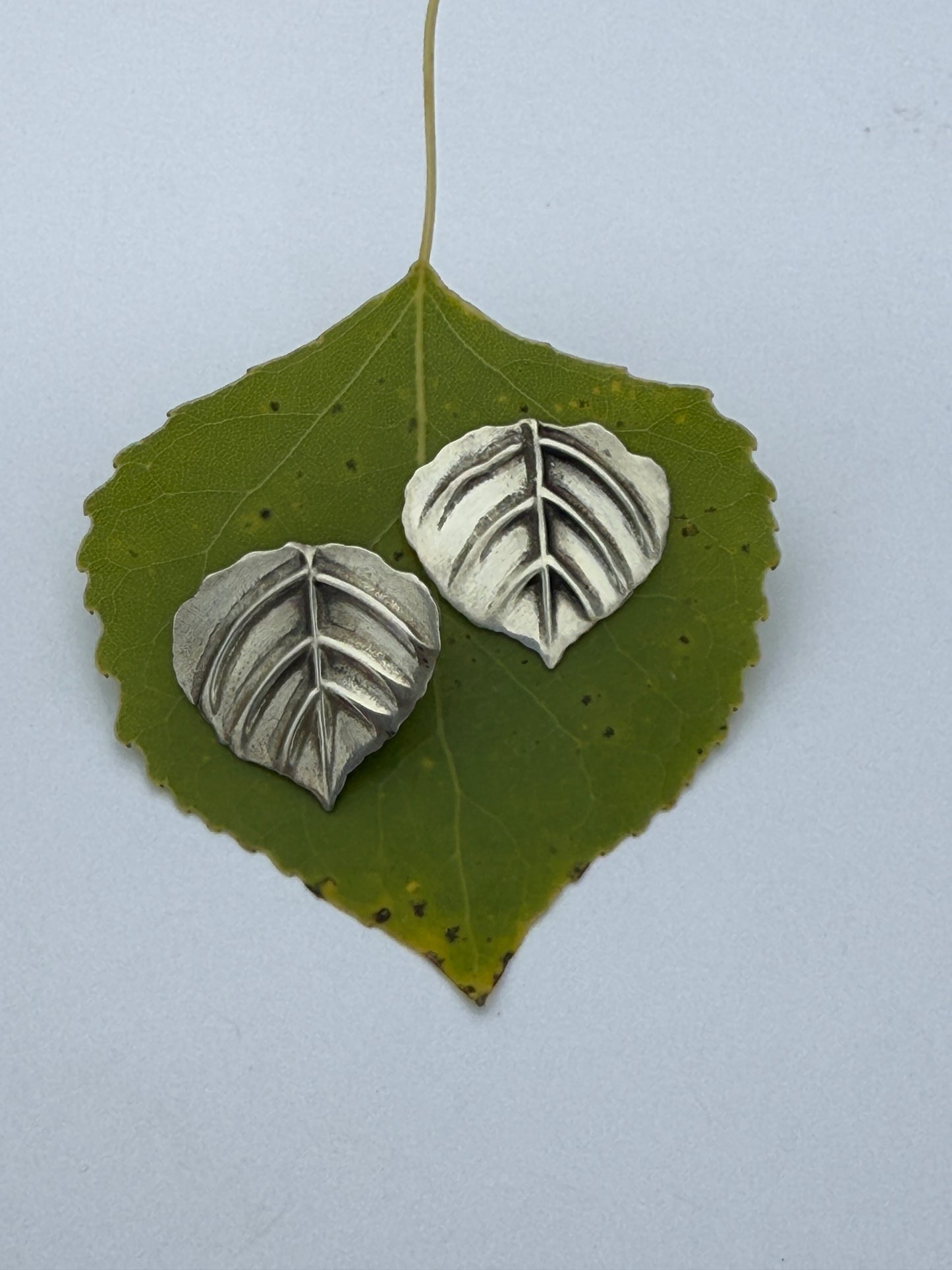 Aspen Breeze Post Earrings: Sterling Silver Aspen Leaves