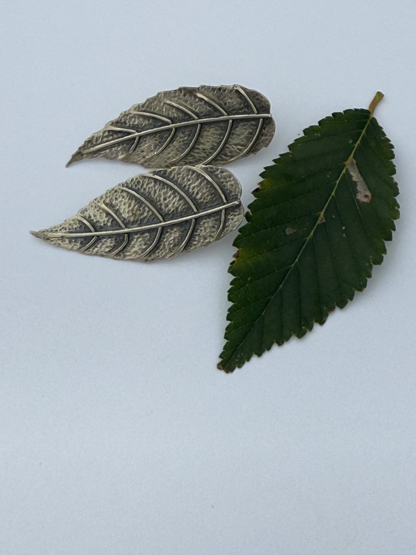 Silver Birch Post Earrings - Sterling Silver Birch Leaves