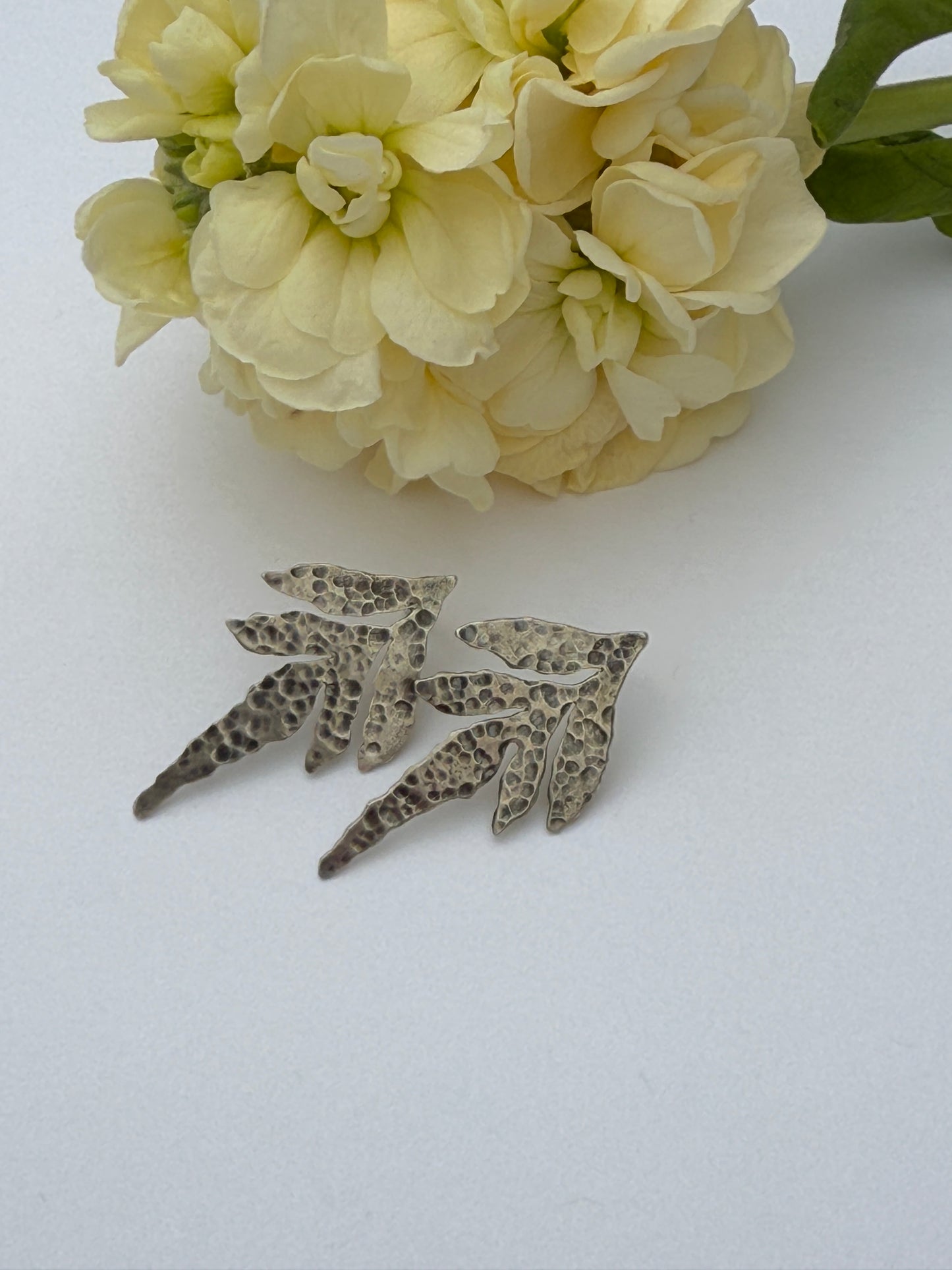 Wildwood Post Earrings: Sterling Silver Staghorn Ferns