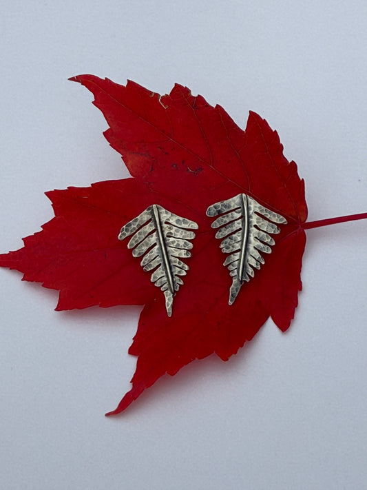 Forest Frond Post Earrings: Sterling Silver Sword Ferns