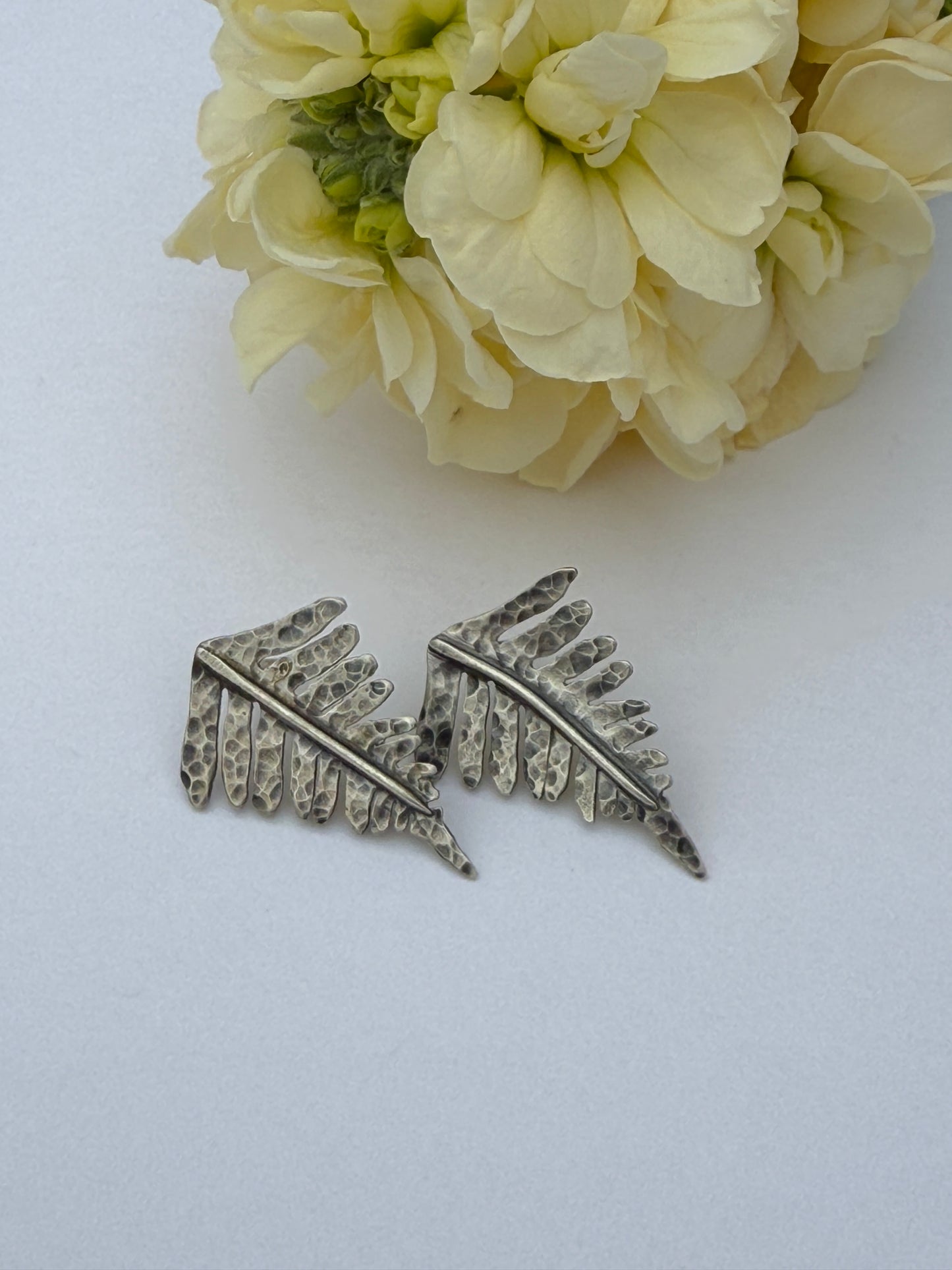Forest Frond Post Earrings: Sterling Silver Sword Ferns