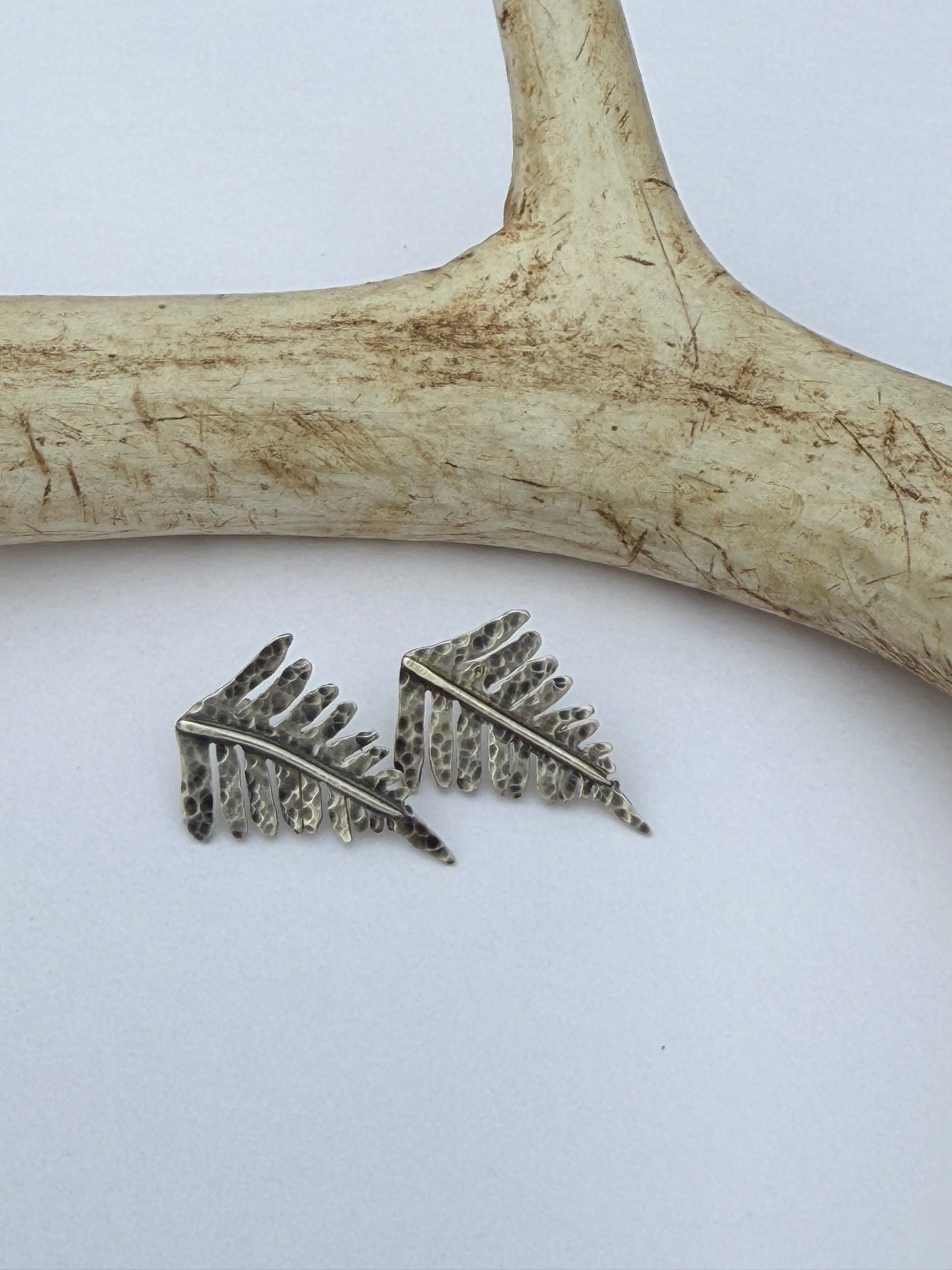 Forest Frond Post Earrings: Sterling Silver Sword Ferns