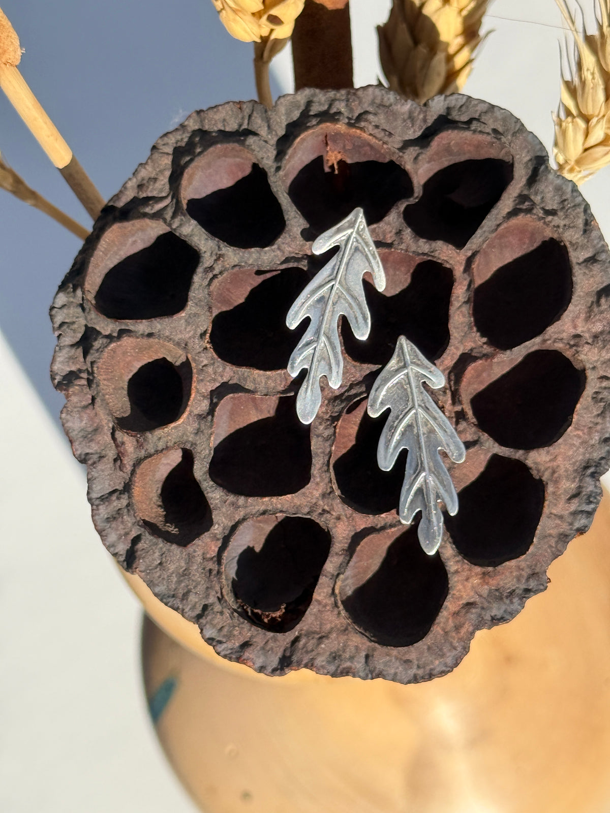Fallen Oak Stud Earrings