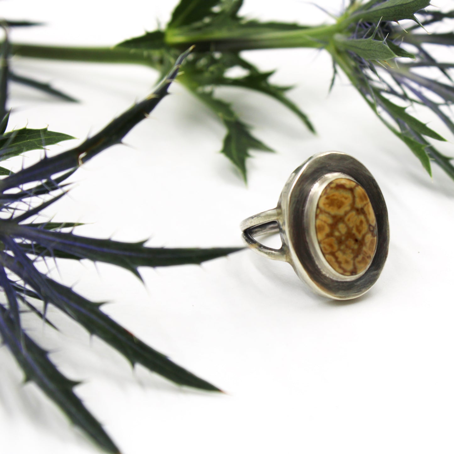 Wild Haven Ring: Sterling Silver & Jasper - size 7