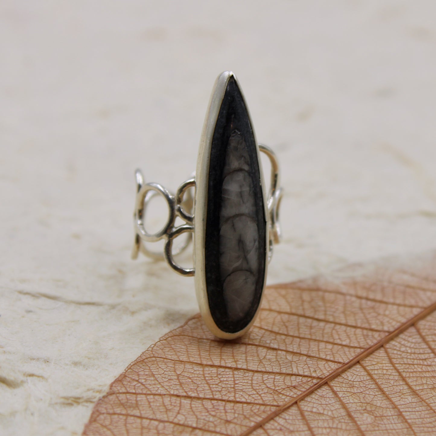 Eternal Current Ring: Sterling Silver Orthoceros - size 5.5