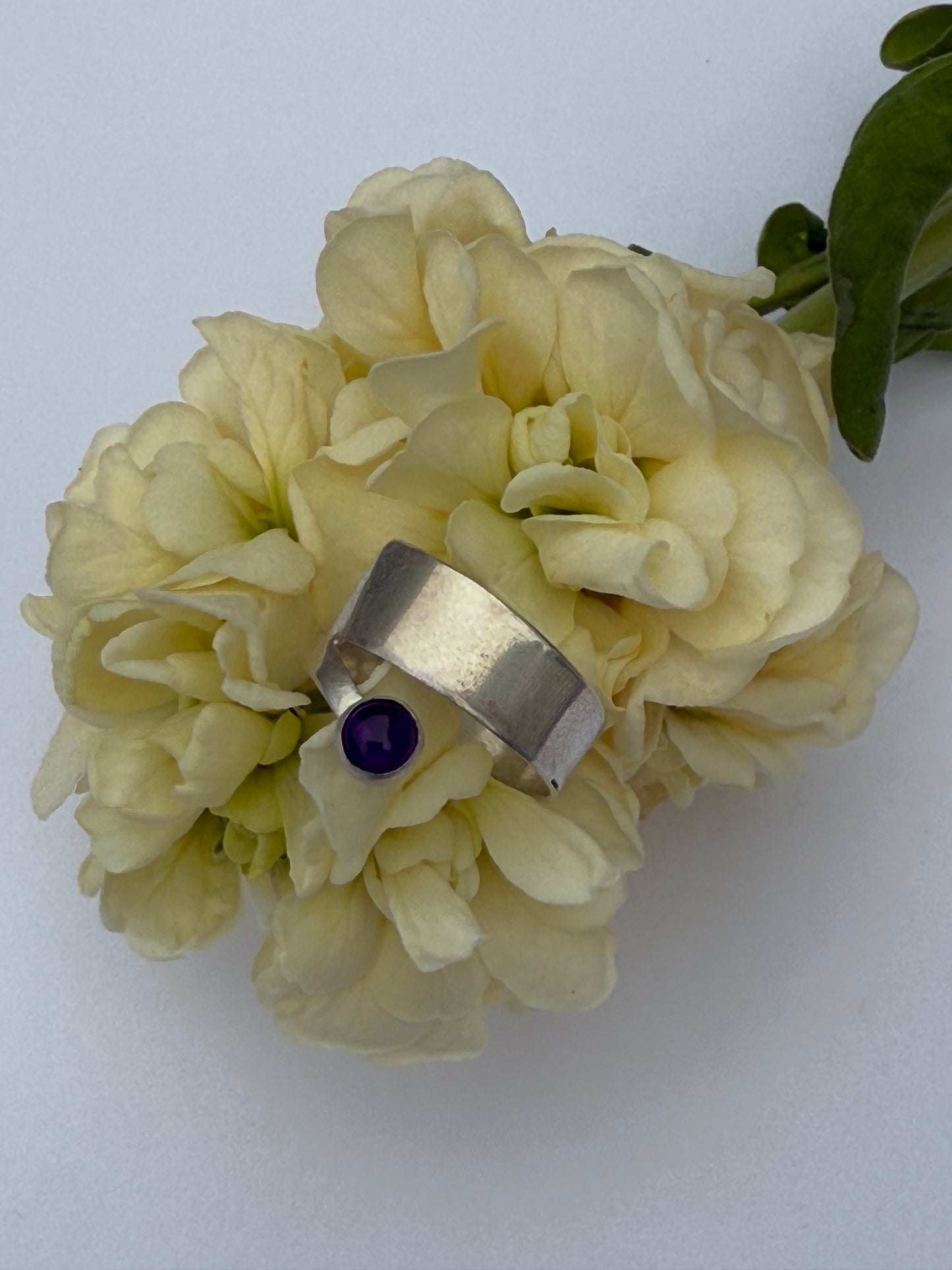 The Sylvan Connection Rings: Sterling Silver Overlap