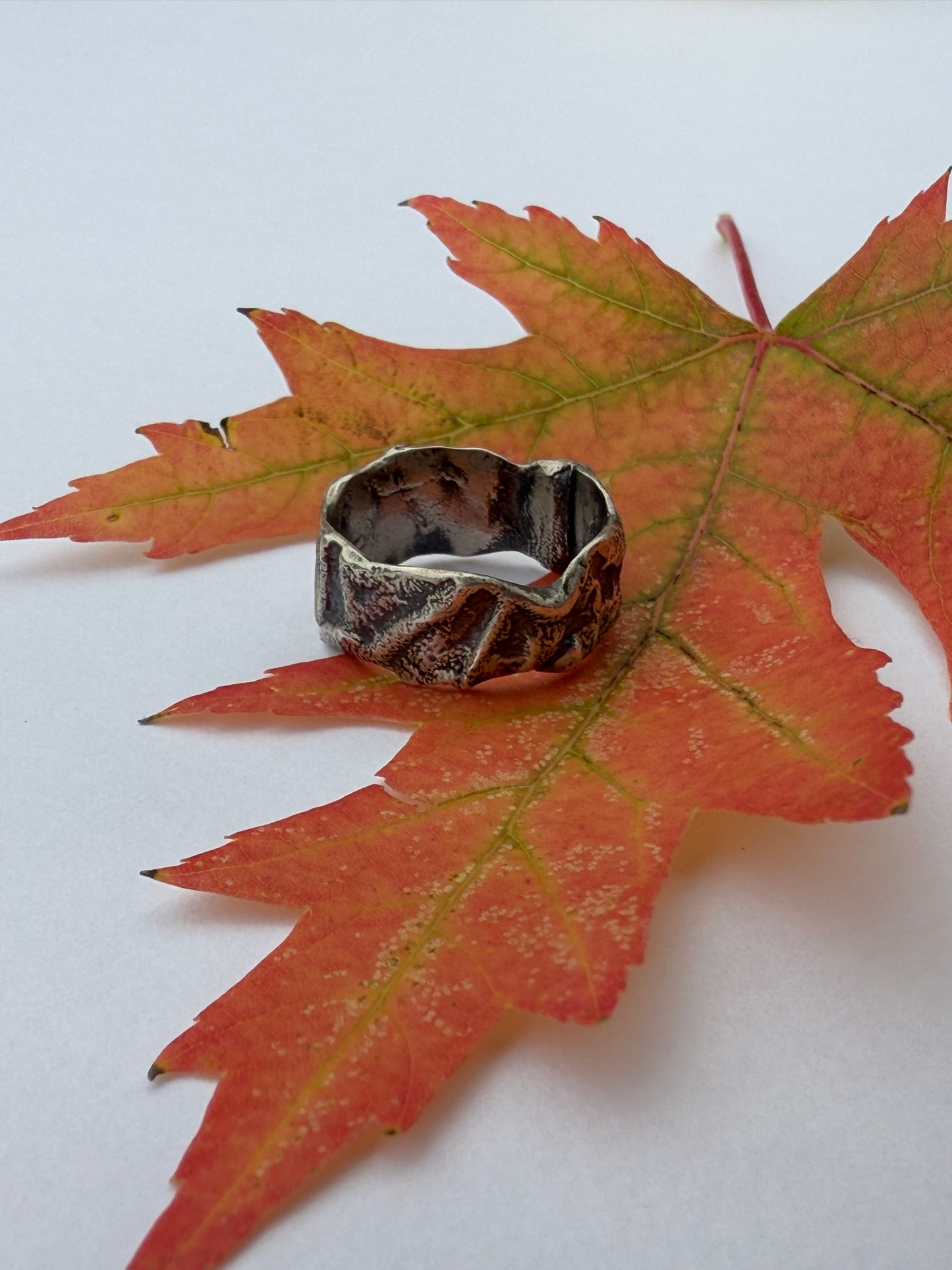Earthsong Rings: Sterling Silver Fused Rings