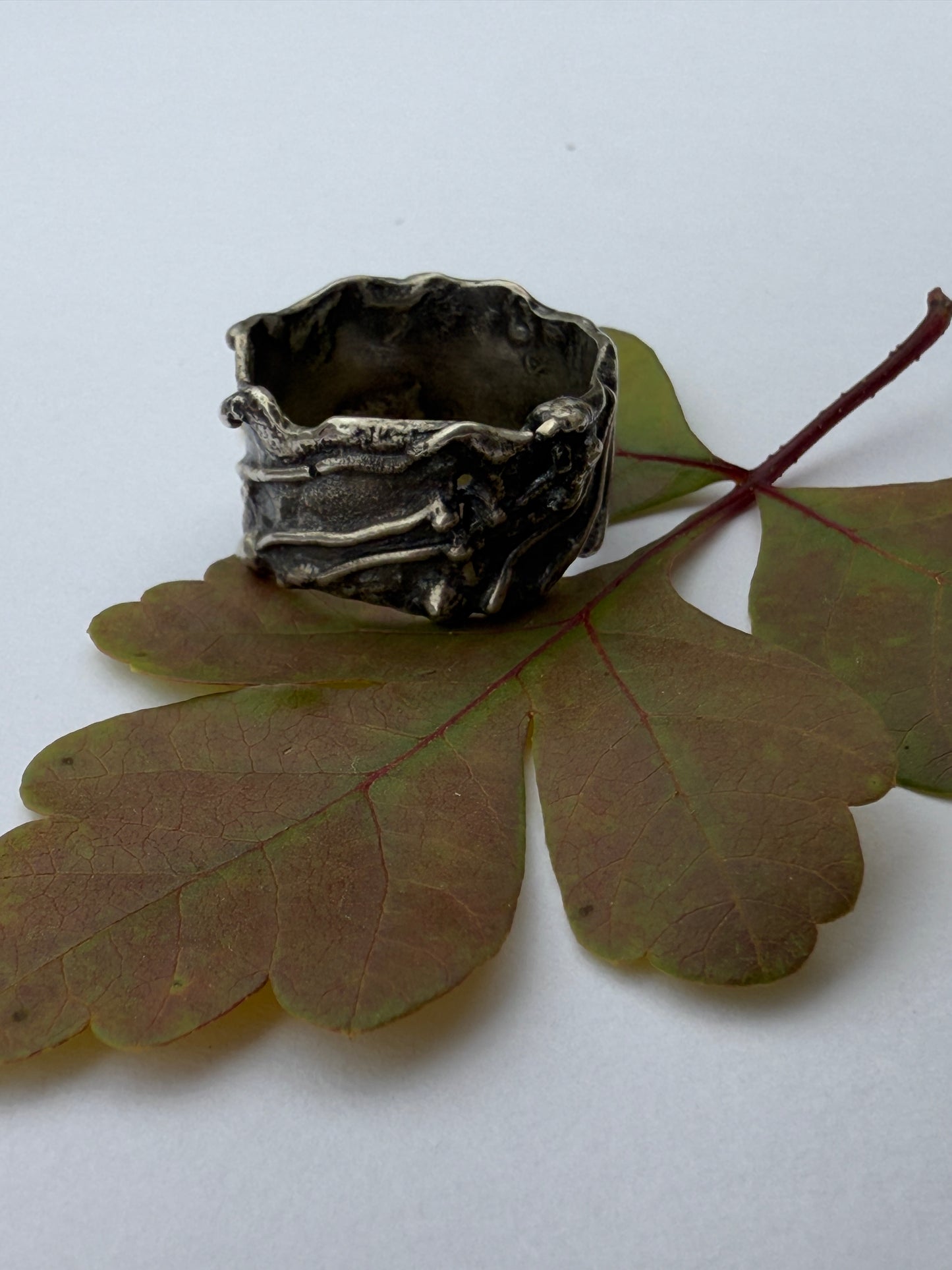 Earthsong Rings: Sterling Silver Fused Rings
