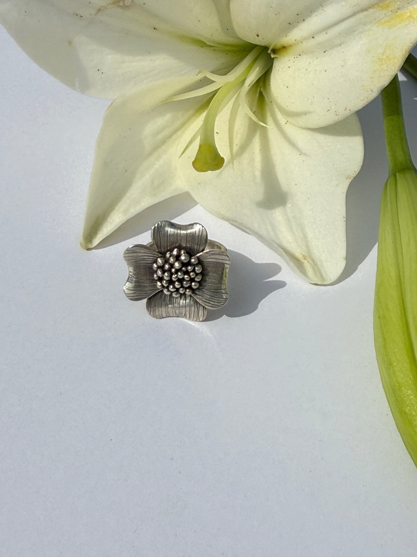 Wild Grace Ring: Sterling Silver & Dogwood - size 6