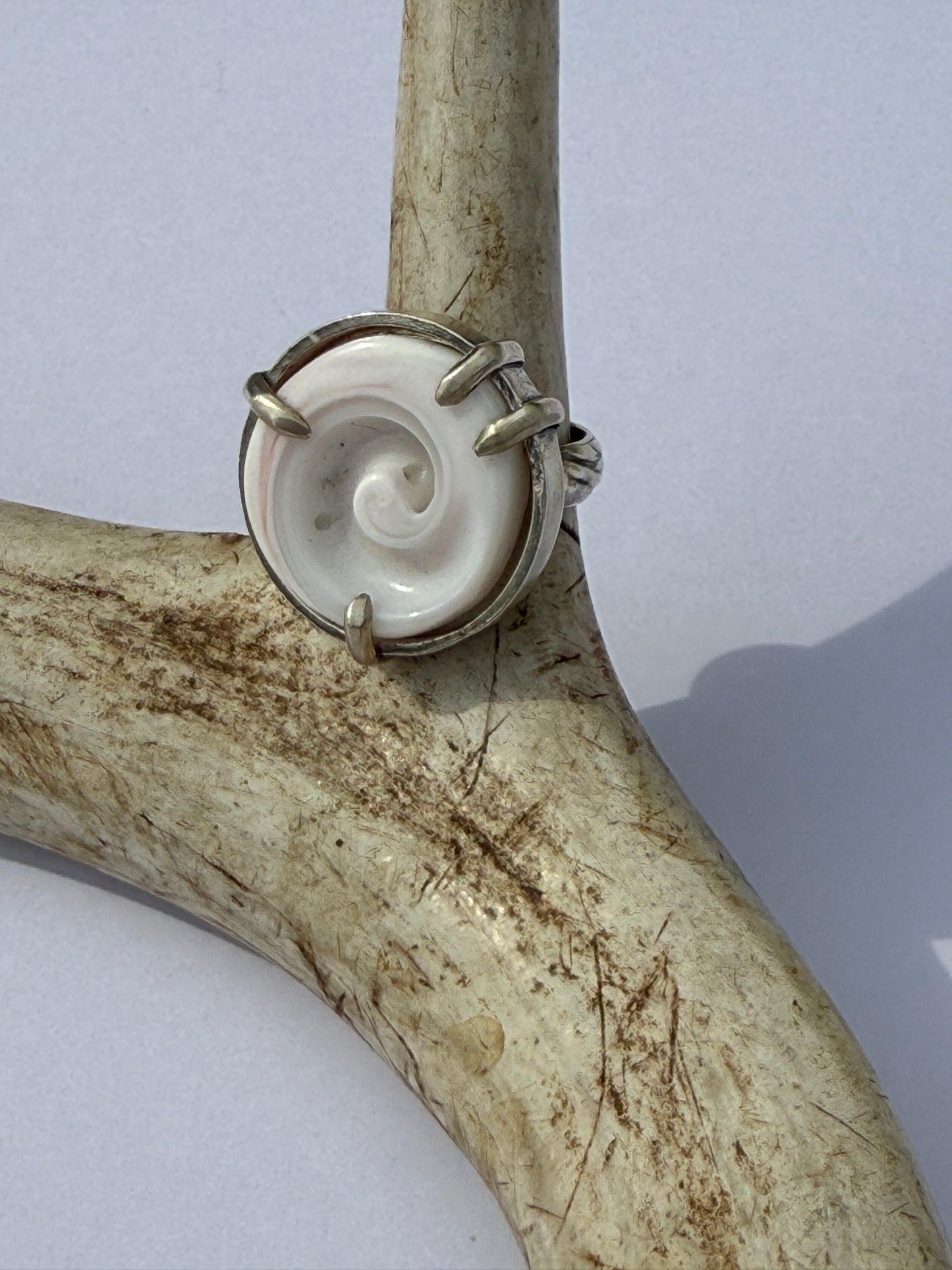 Ocean Muse Ring: Sterling Silver & Prong SeaShell - size 5.5