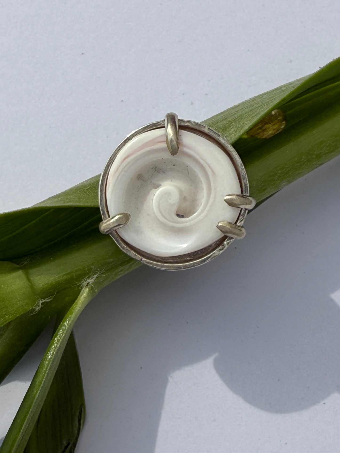 Ocean Muse Ring: Sterling Silver & Prong SeaShell - size 5.5