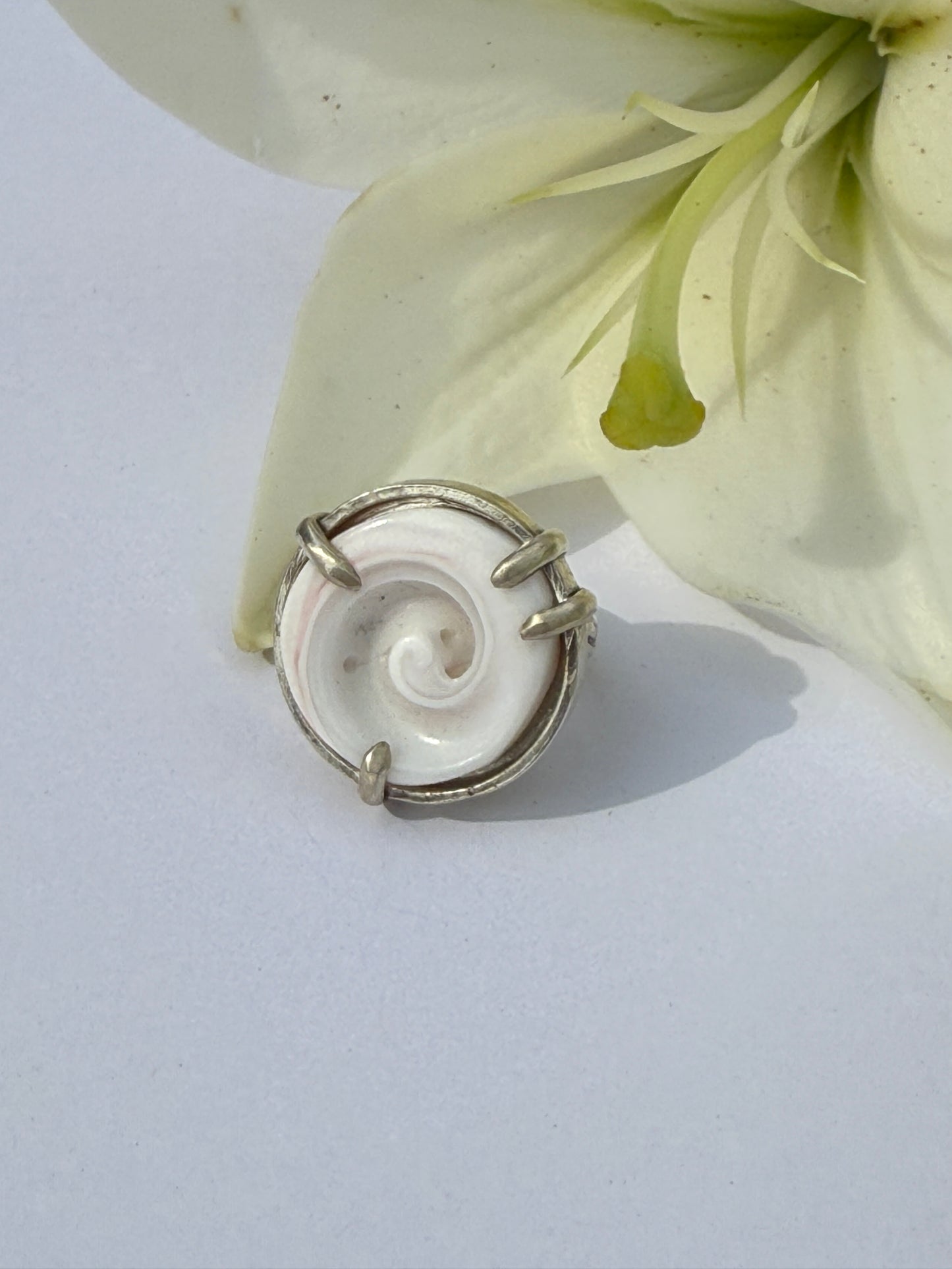 Ocean Muse Ring: Sterling Silver & Prong SeaShell - size 5.5