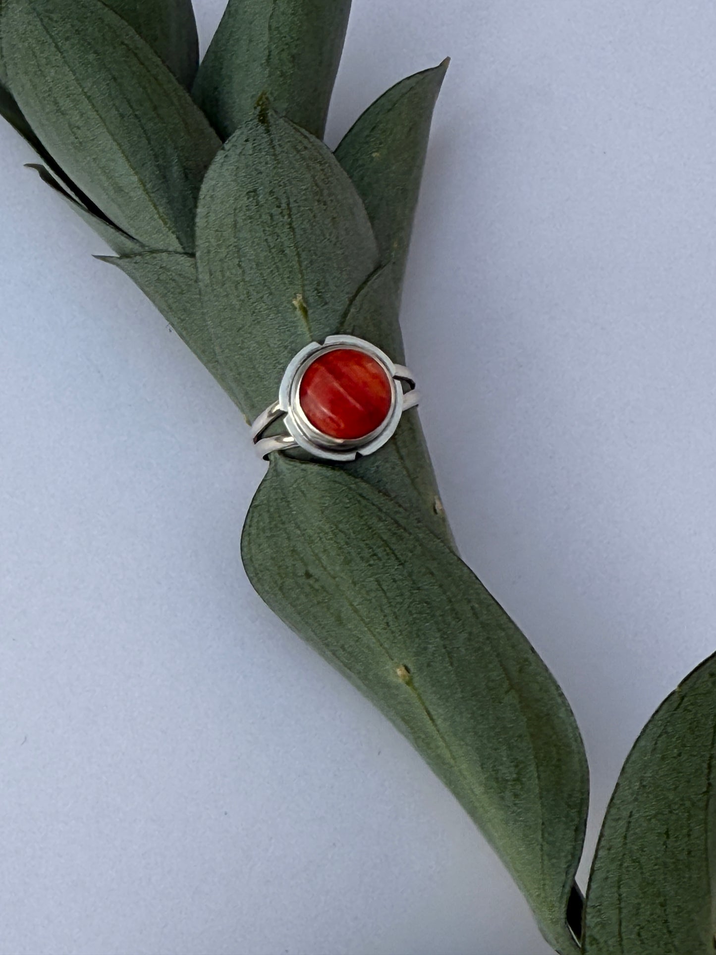 Sunset Ember Ring: Sterling Silver & Red Spiny Oyster - size 11