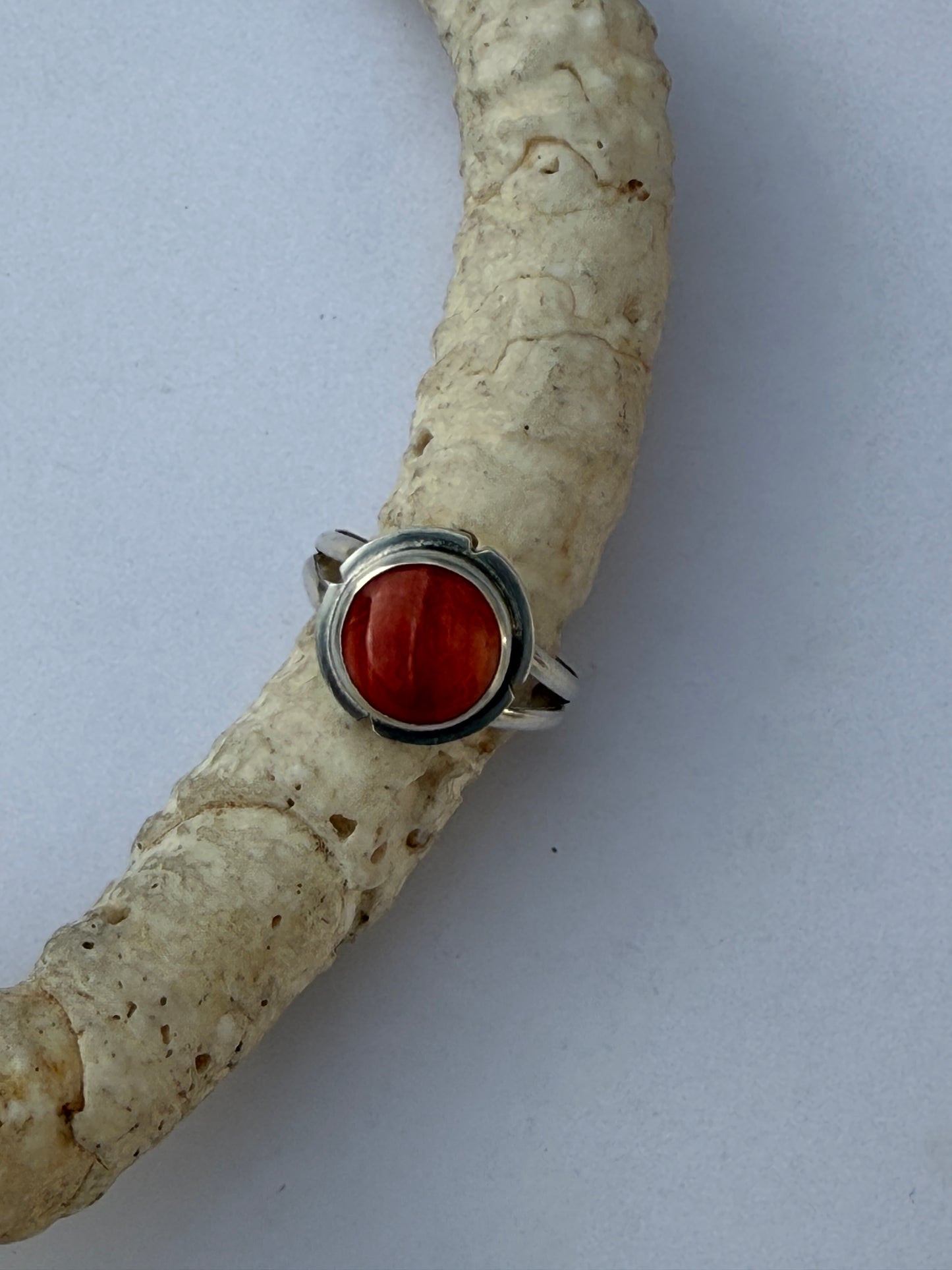 Sunset Ember Ring: Sterling Silver & Red Spiny Oyster - size 11