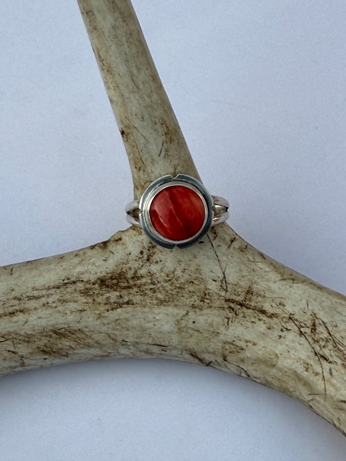 Sunset Ember Ring: Sterling Silver & Red Spiny Oyster - size 11