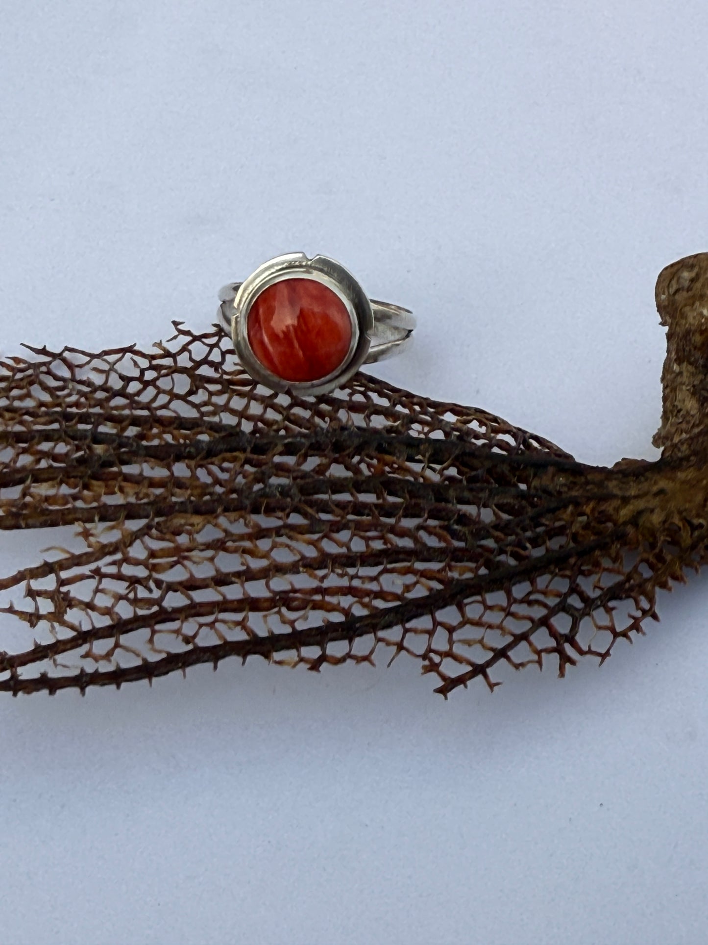 Sunset Ember Ring: Sterling Silver & Red Spiny Oyster - size 11