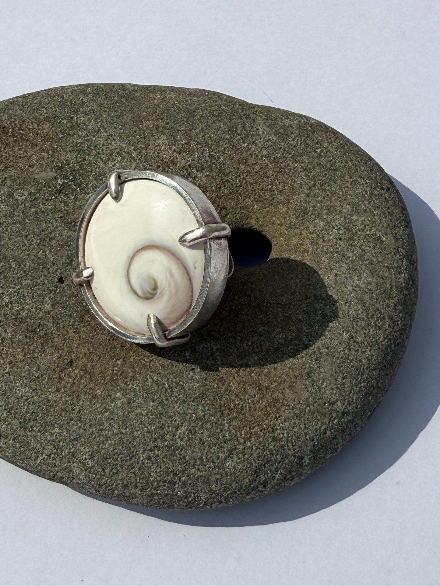 High Tide Ocean Rhythm Ring: Sterling Silver & Round Shiva Shell - size 8.25
