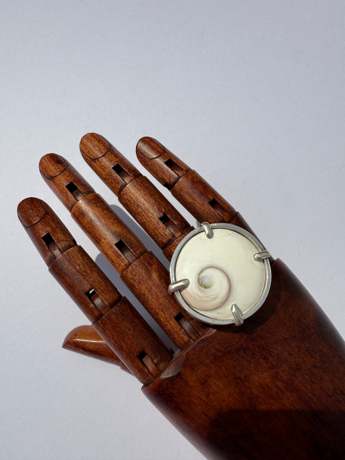 High Tide Ocean Rhythm Ring: Sterling Silver & Round Shiva Shell - size 8.25
