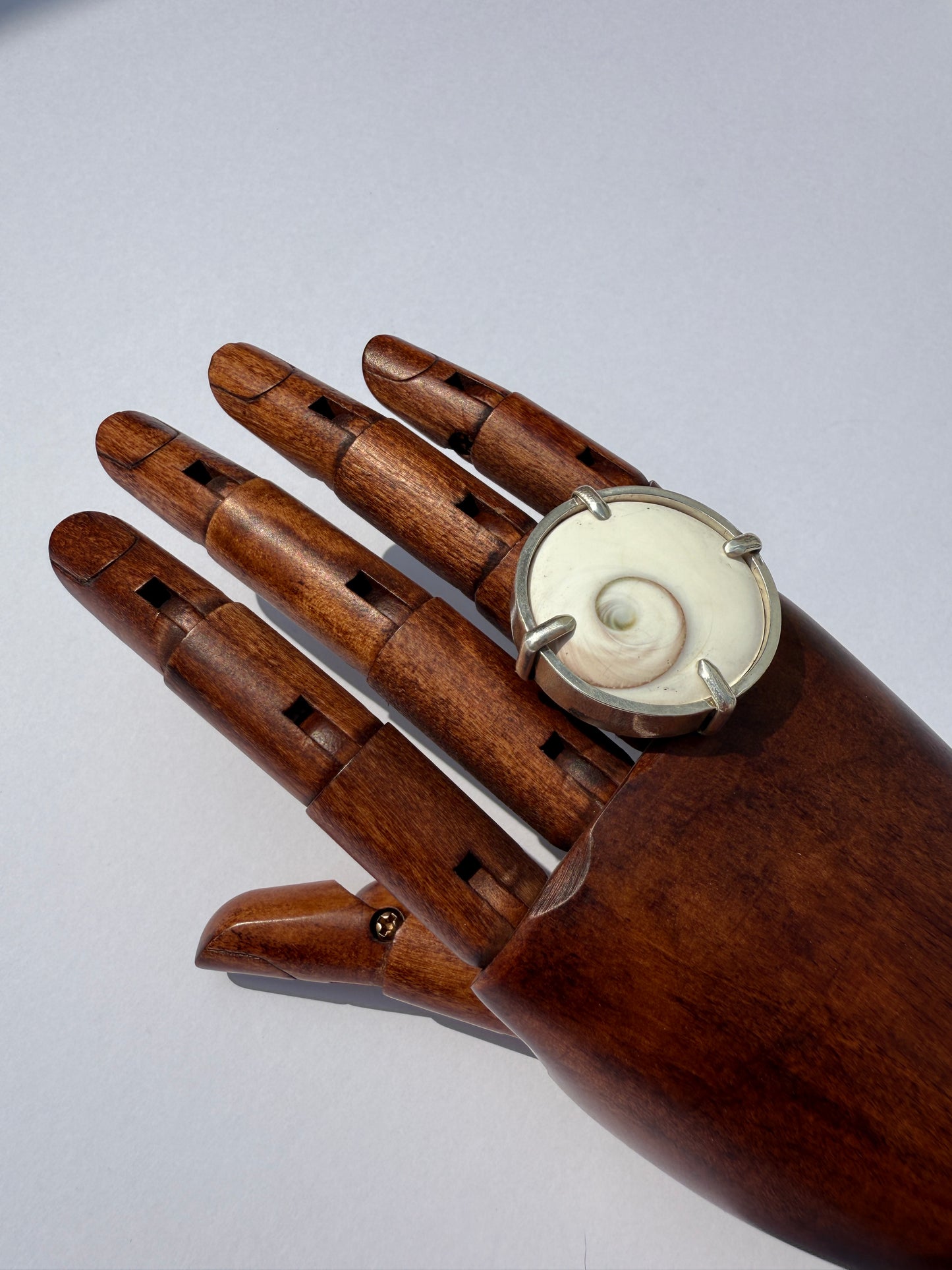 High Tide Ocean Rhythm Ring: Sterling Silver & Round Shiva Shell - size 8.25
