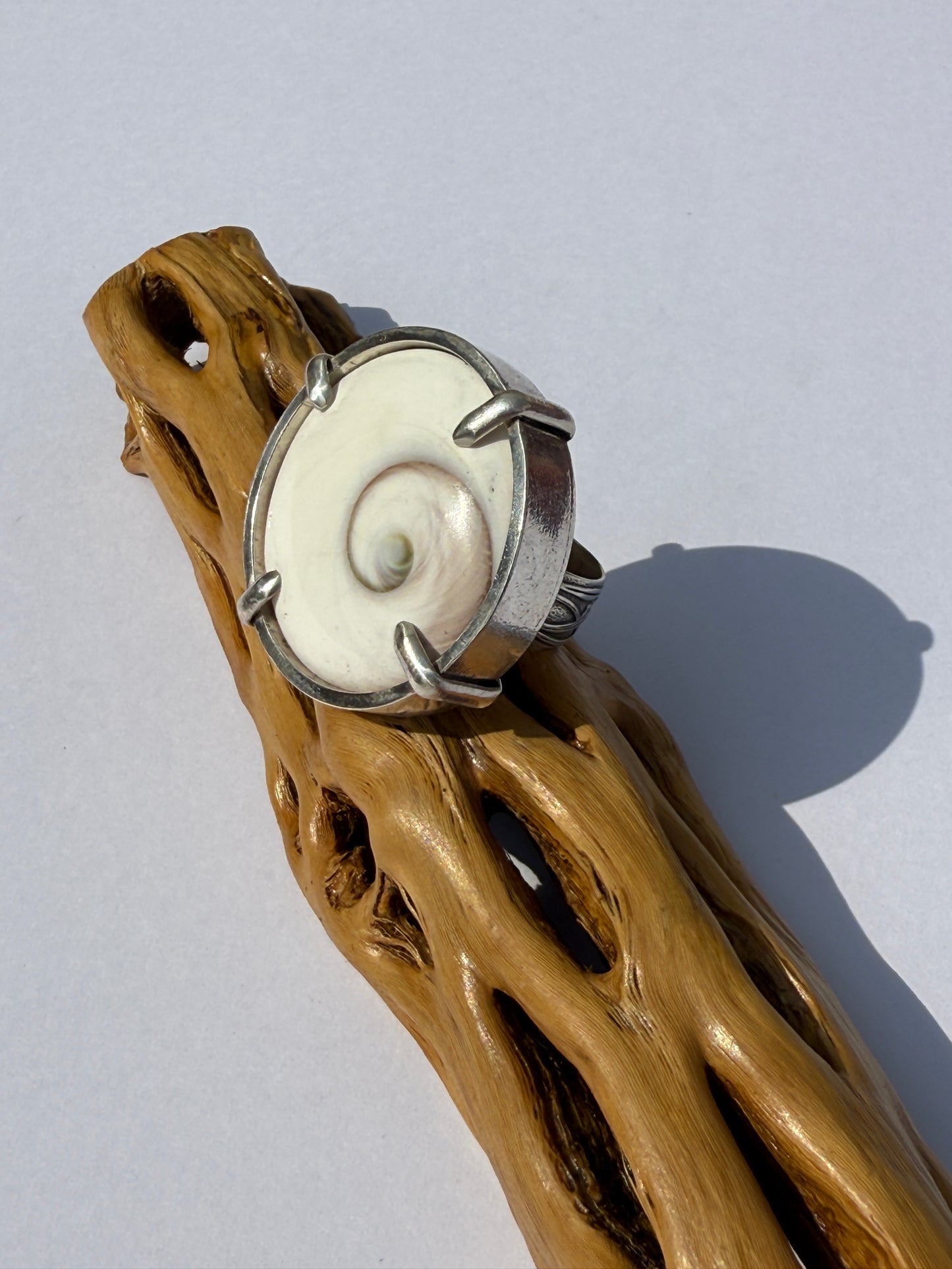 High Tide Ocean Rhythm Ring: Sterling Silver & Round Shiva Shell - size 8.25