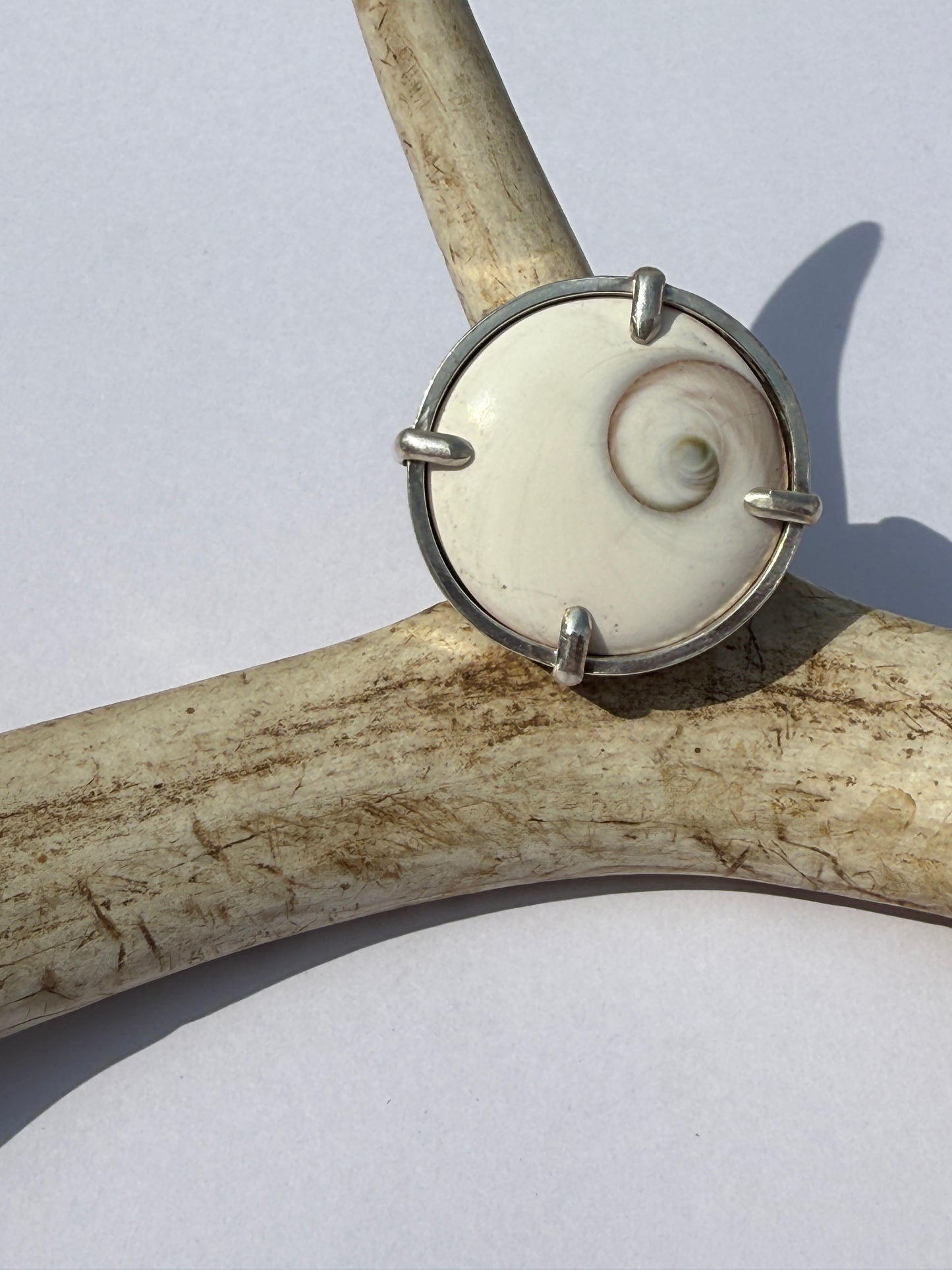 High Tide Ocean Rhythm Ring: Sterling Silver & Round Shiva Shell - size 8.25