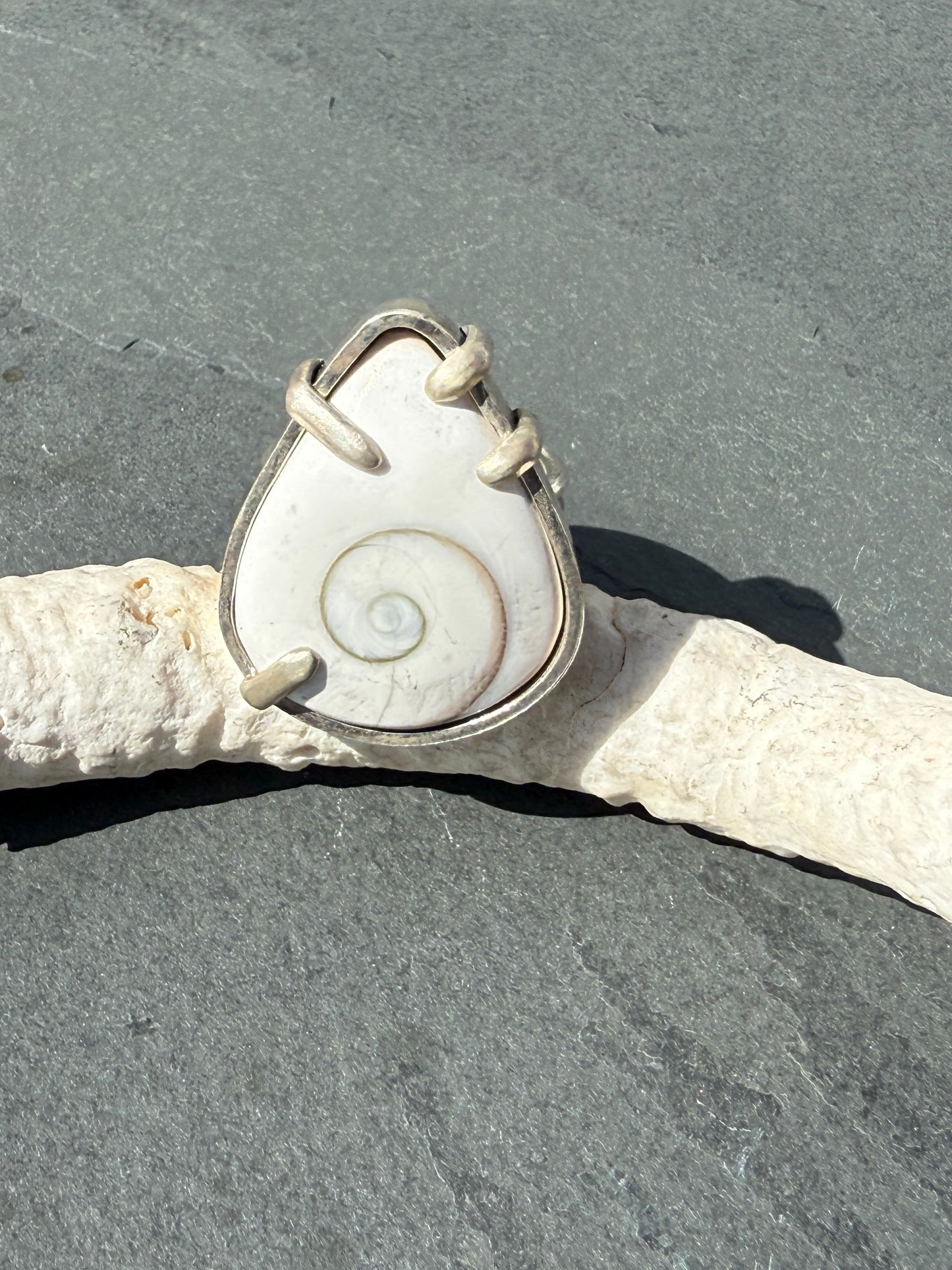 Tidal Spirit Ring: Sterling Silver & Shiva Shell - size 10.5