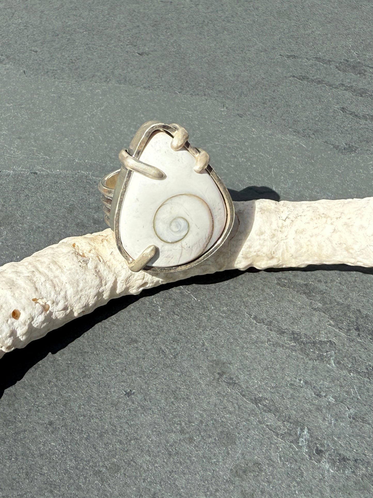 Tidal Spirit Ring: Sterling Silver & Shiva Shell - size 10.5