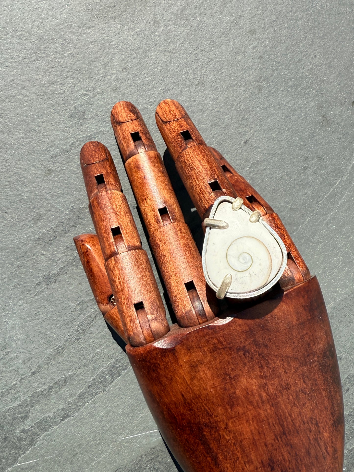 Tidal Spirit Ring: Sterling Silver & Shiva Shell - size 10.5