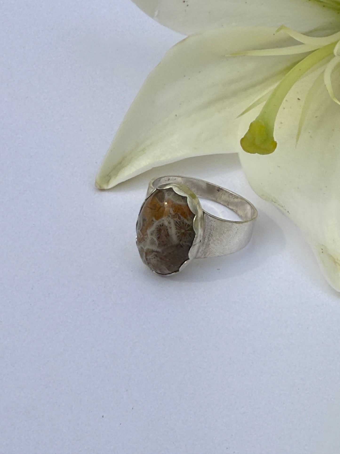 Echoes of Earth Ring: Sterling Silver & Fossil Coral - size 12