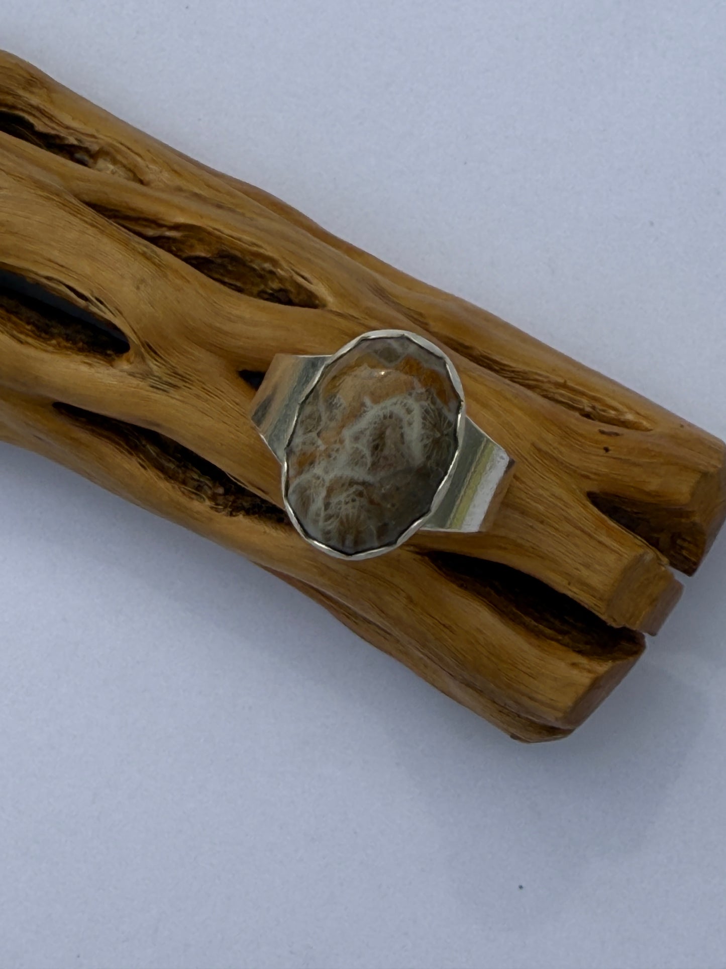 Echoes of Earth Ring: Sterling Silver & Fossil Coral - size 12