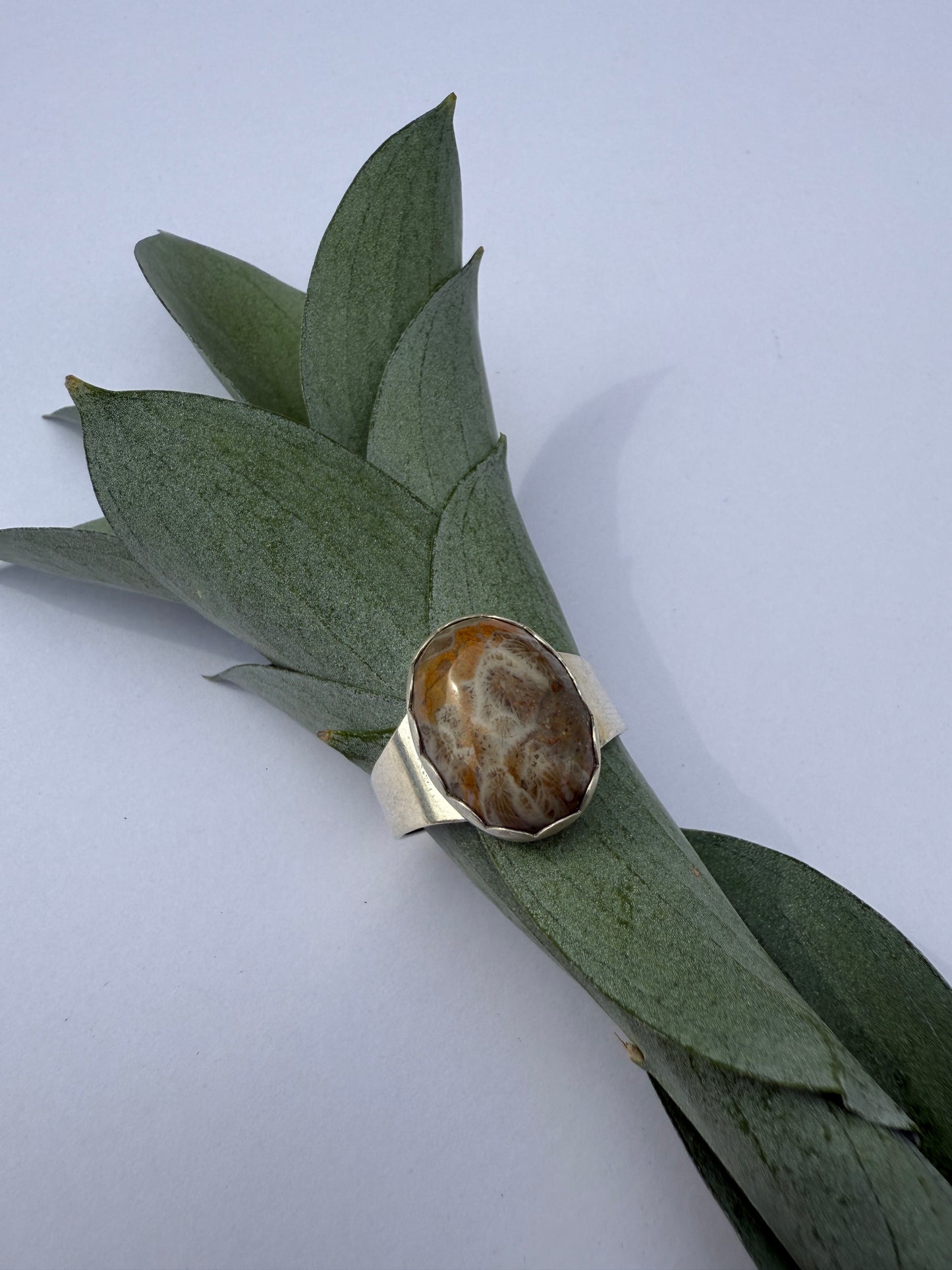 Echoes of Earth Ring: Sterling Silver & Fossil Coral - size 12